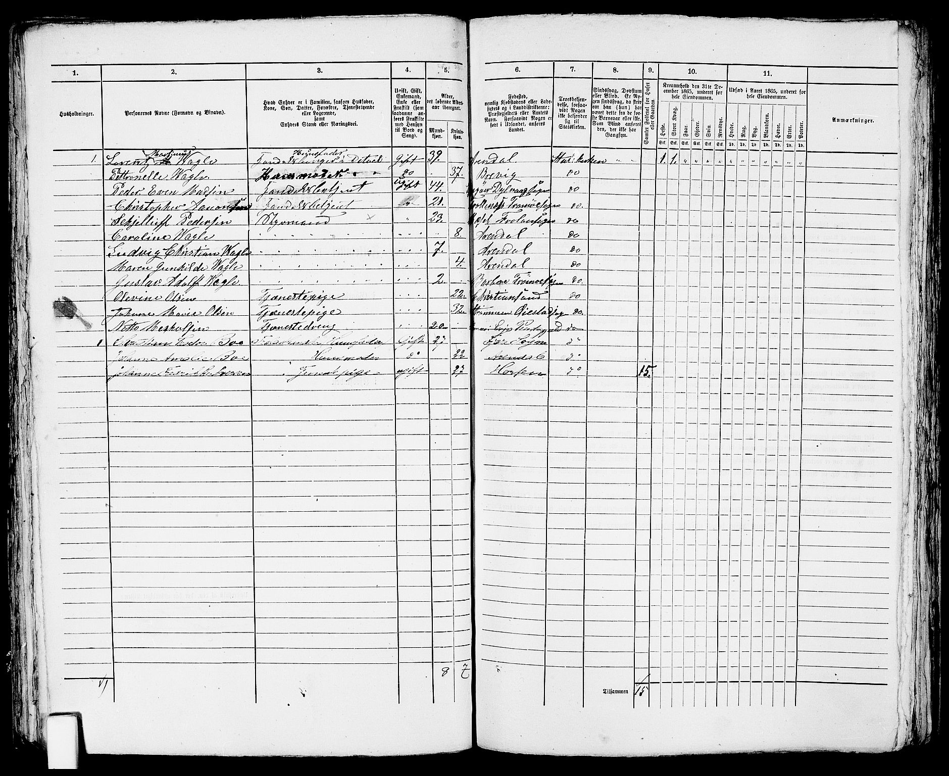 RA, 1865 census for Arendal, 1865, p. 407