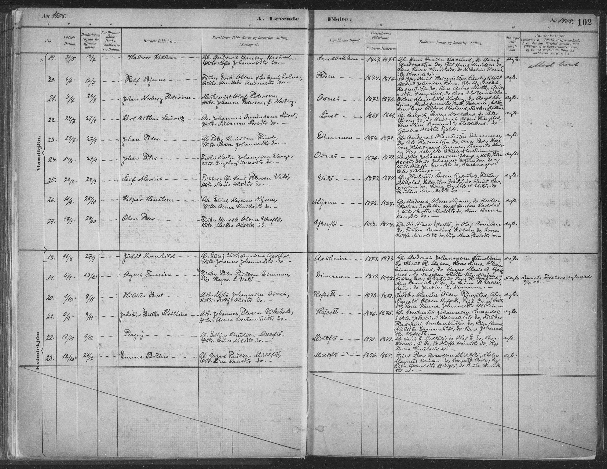 Ministerialprotokoller, klokkerbøker og fødselsregistre - Møre og Romsdal, AV/SAT-A-1454/509/L0106: Parish register (official) no. 509A04, 1883-1922, p. 102