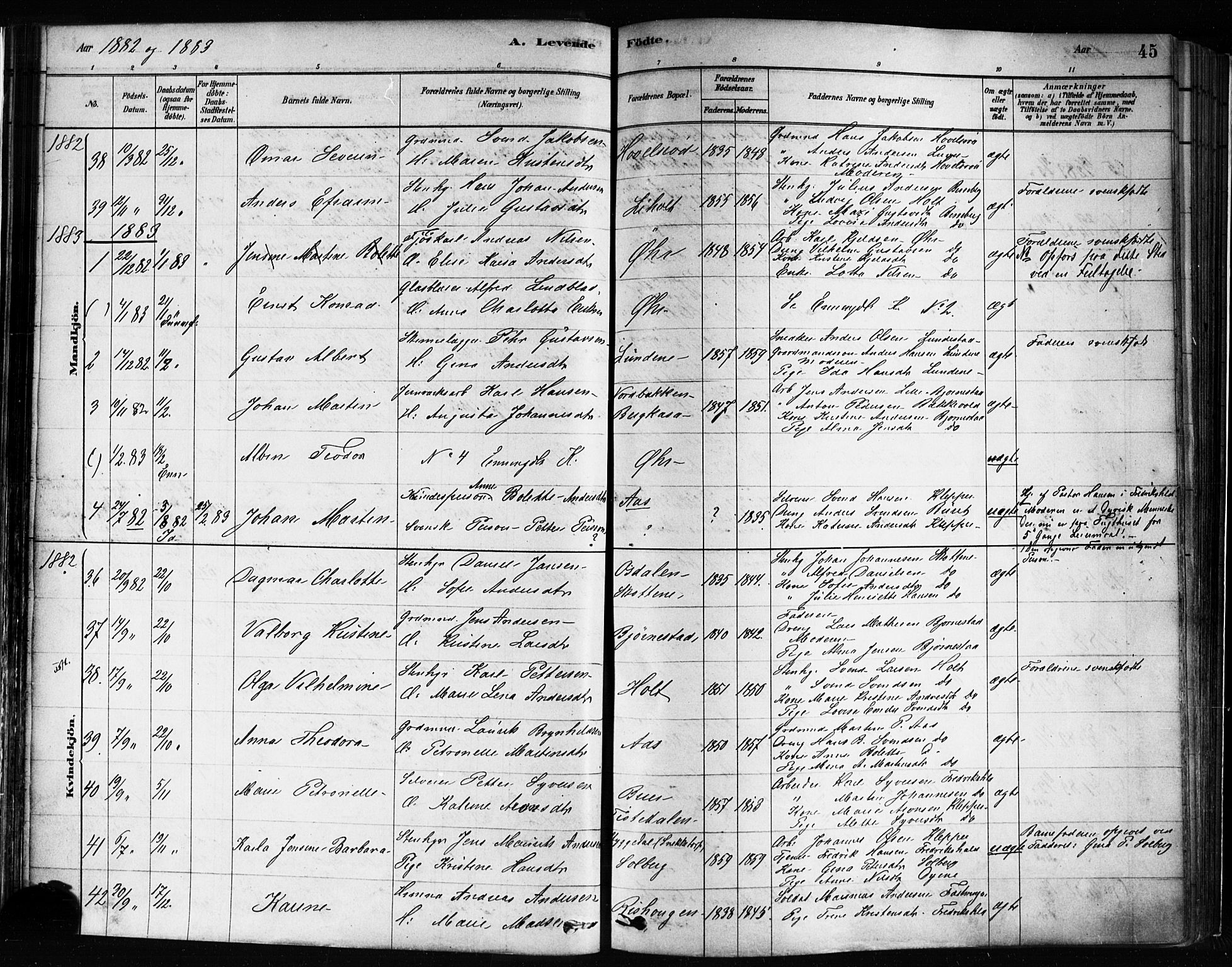 Idd prestekontor Kirkebøker, AV/SAO-A-10911/F/Fc/L0006a: Parish register (official) no. III 6A, 1878-1903, p. 45