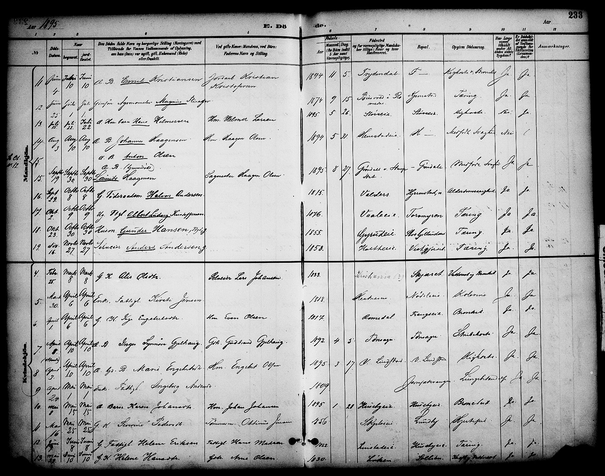 Stange prestekontor, AV/SAH-PREST-002/K/L0020: Parish register (official) no. 20, 1894-1905, p. 233