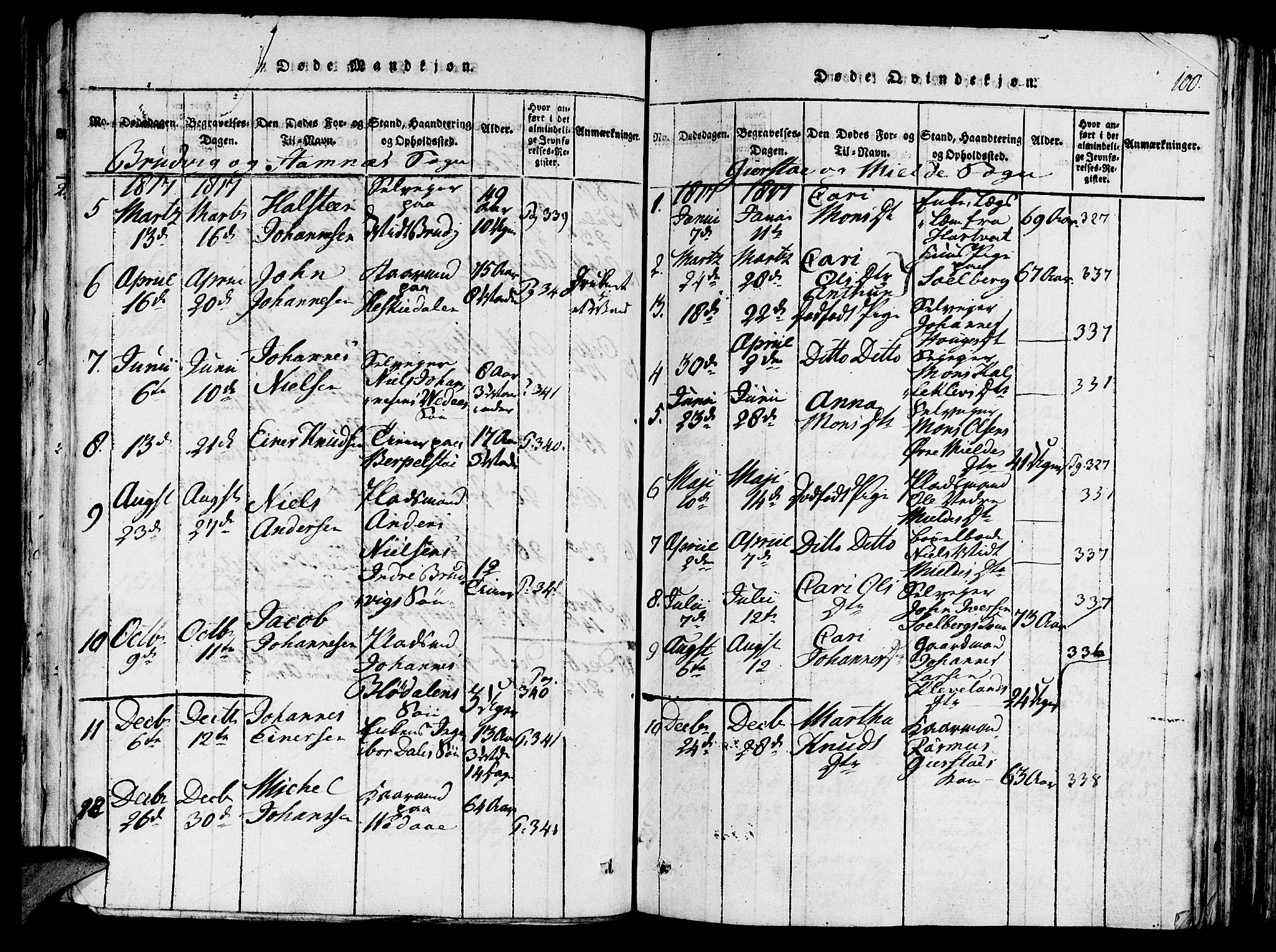 Haus sokneprestembete, AV/SAB-A-75601/H/Haa: Parish register (official) no. A 12, 1816-1821, p. 100