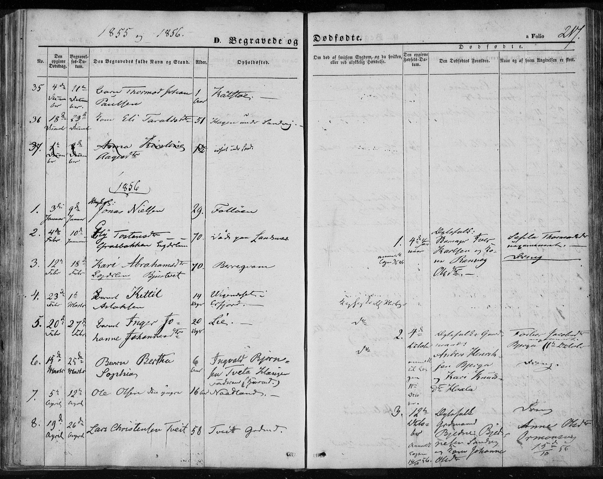 Jelsa sokneprestkontor, SAST/A-101842/01/IV: Parish register (official) no. A 7, 1854-1866, p. 217