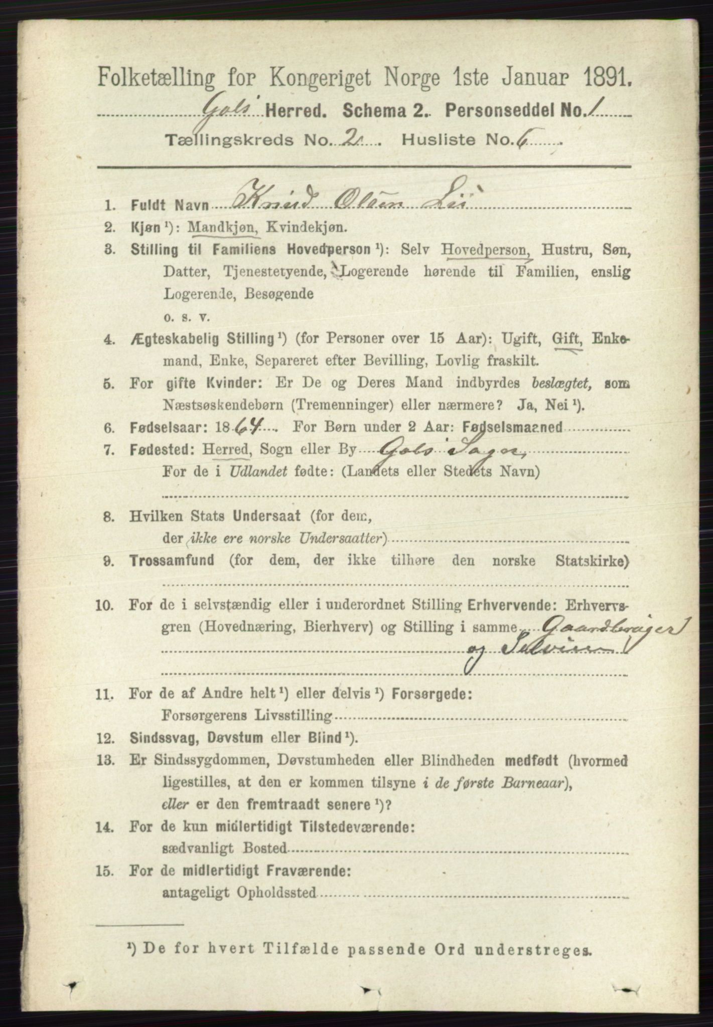 RA, 1891 census for 0617 Gol og Hemsedal, 1891, p. 742