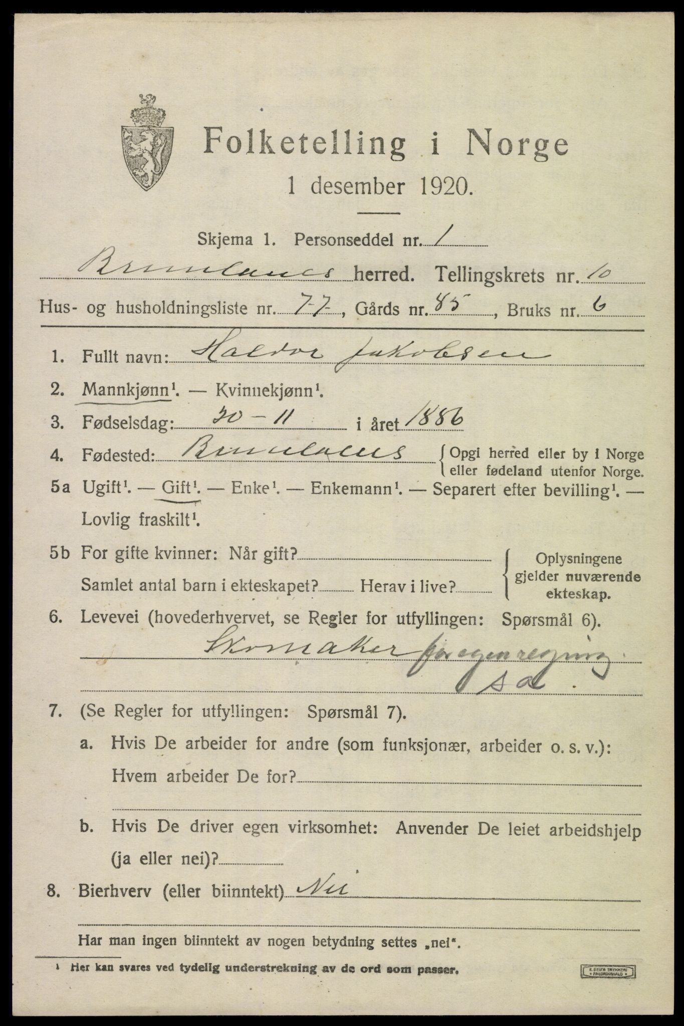 SAKO, 1920 census for Brunlanes, 1920, p. 9241