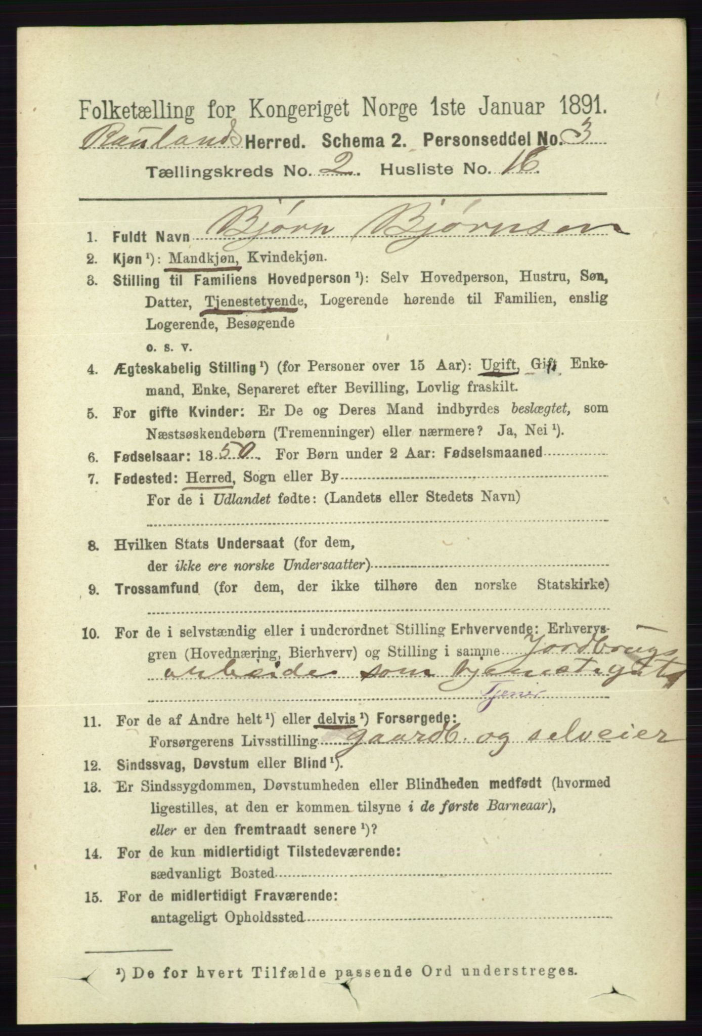 RA, 1891 census for 0835 Rauland, 1891, p. 356