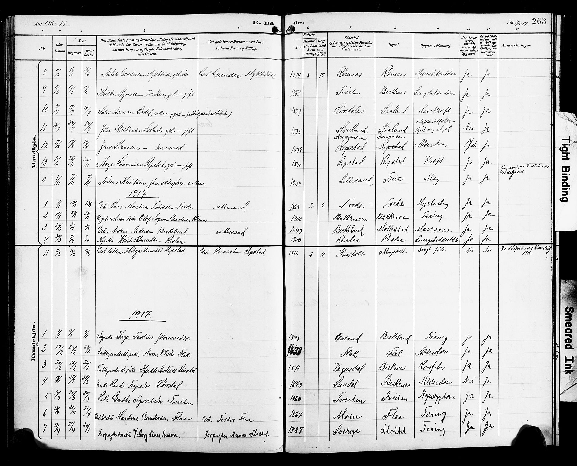 Birkenes sokneprestkontor, AV/SAK-1111-0004/F/Fb/L0004: Parish register (copy) no. B 4, 1893-1930, p. 263