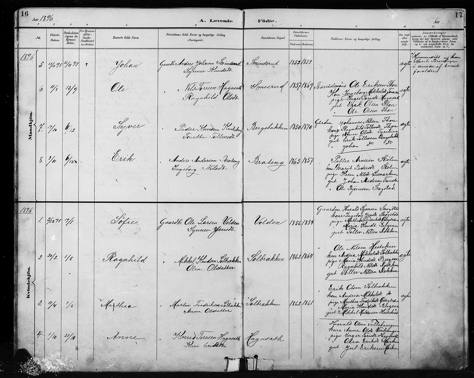 Etnedal prestekontor, SAH/PREST-130/H/Ha/Hab/Habb/L0001: Parish register (copy) no. II 1, 1894-1911, p. 16-17