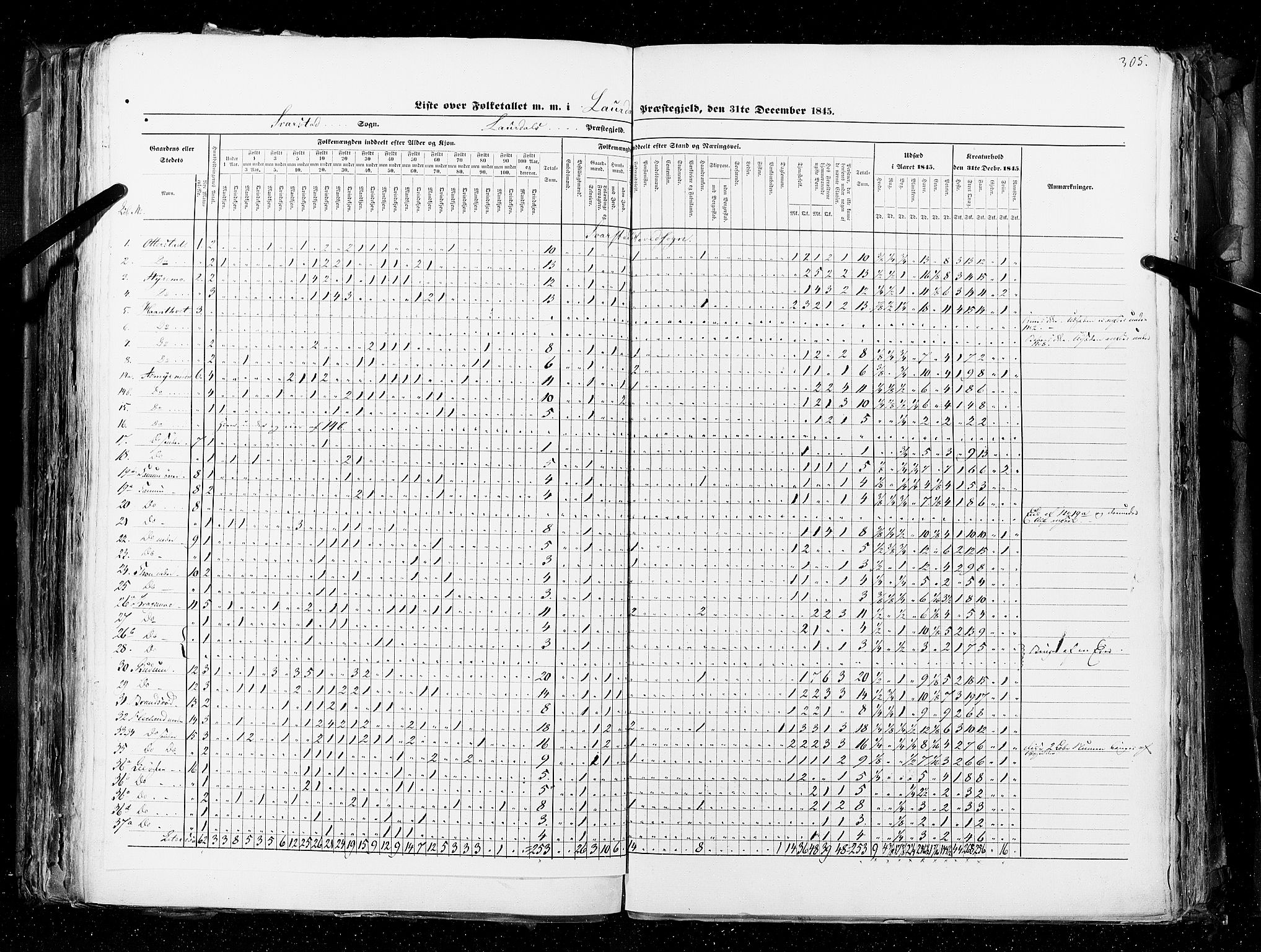 RA, Census 1845, vol. 4: Buskerud amt og Jarlsberg og Larvik amt, 1845, p. 305