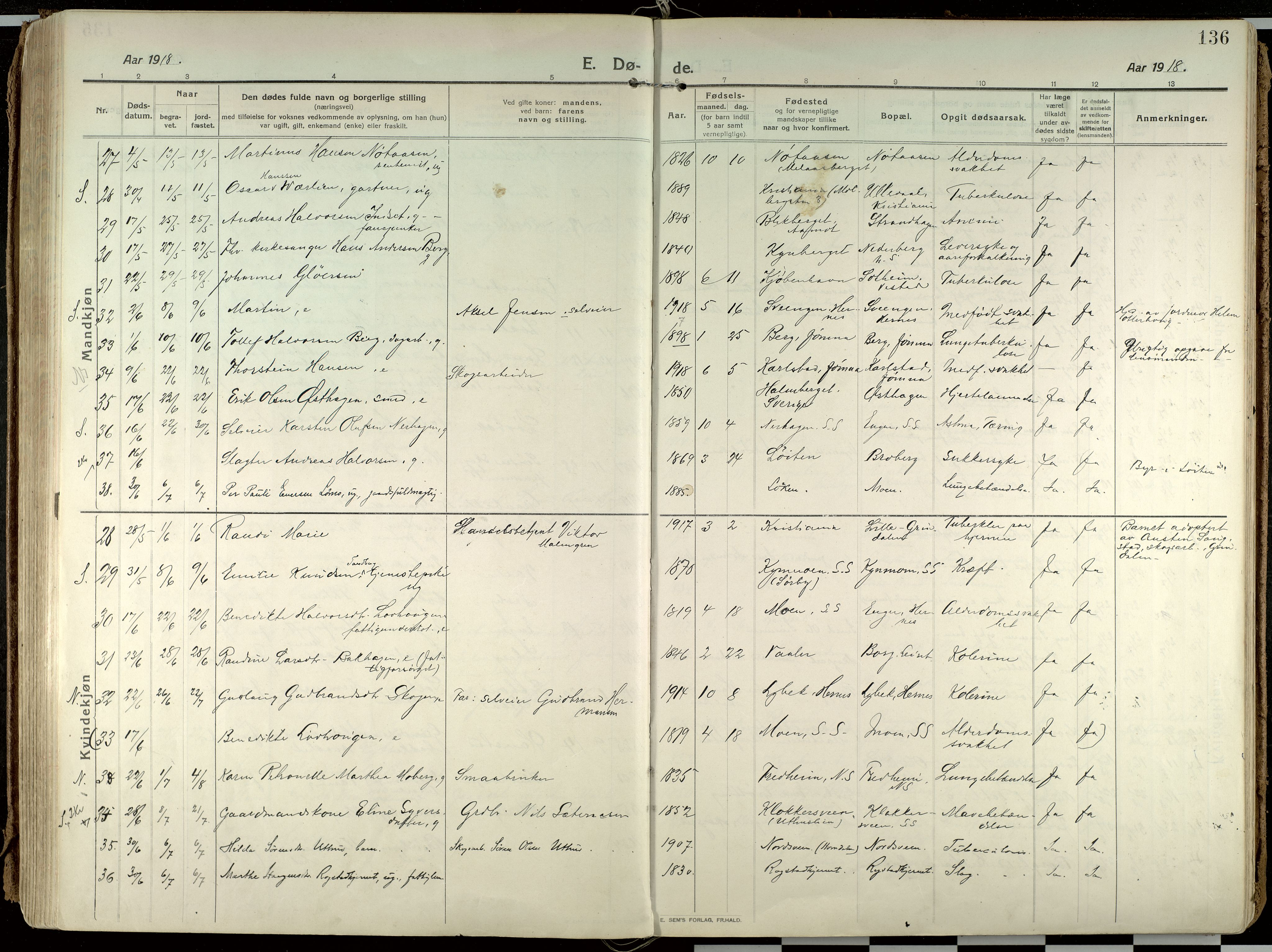 Elverum prestekontor, AV/SAH-PREST-044/H/Ha/Haa/L0021: Parish register (official) no. 21, 1913-1928, p. 136