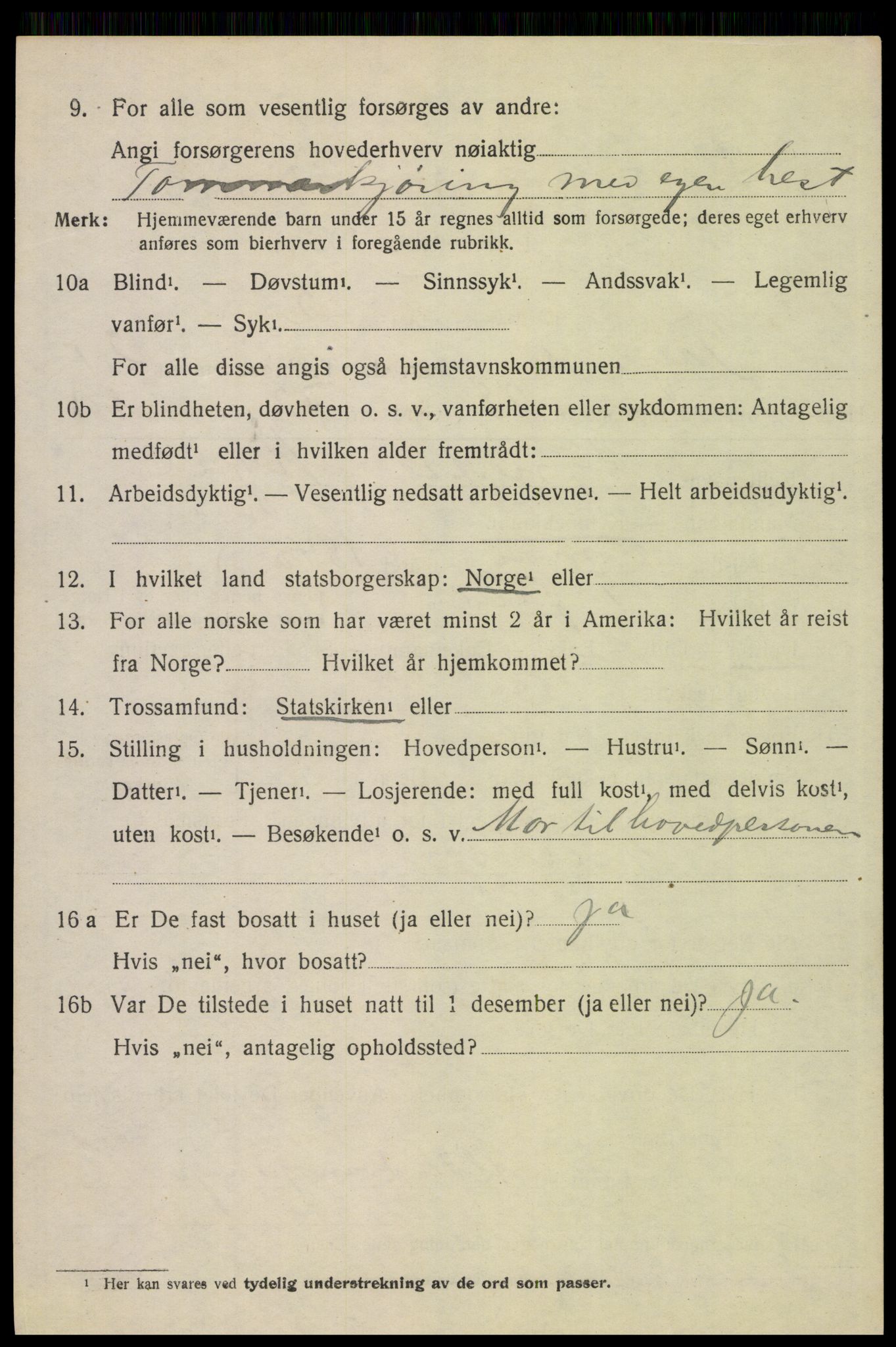 SAH, 1920 census for Trysil, 1920, p. 14108