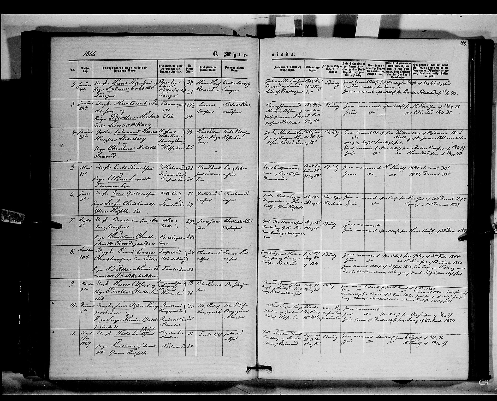 Stange prestekontor, SAH/PREST-002/K/L0014: Parish register (official) no. 14, 1862-1879, p. 123