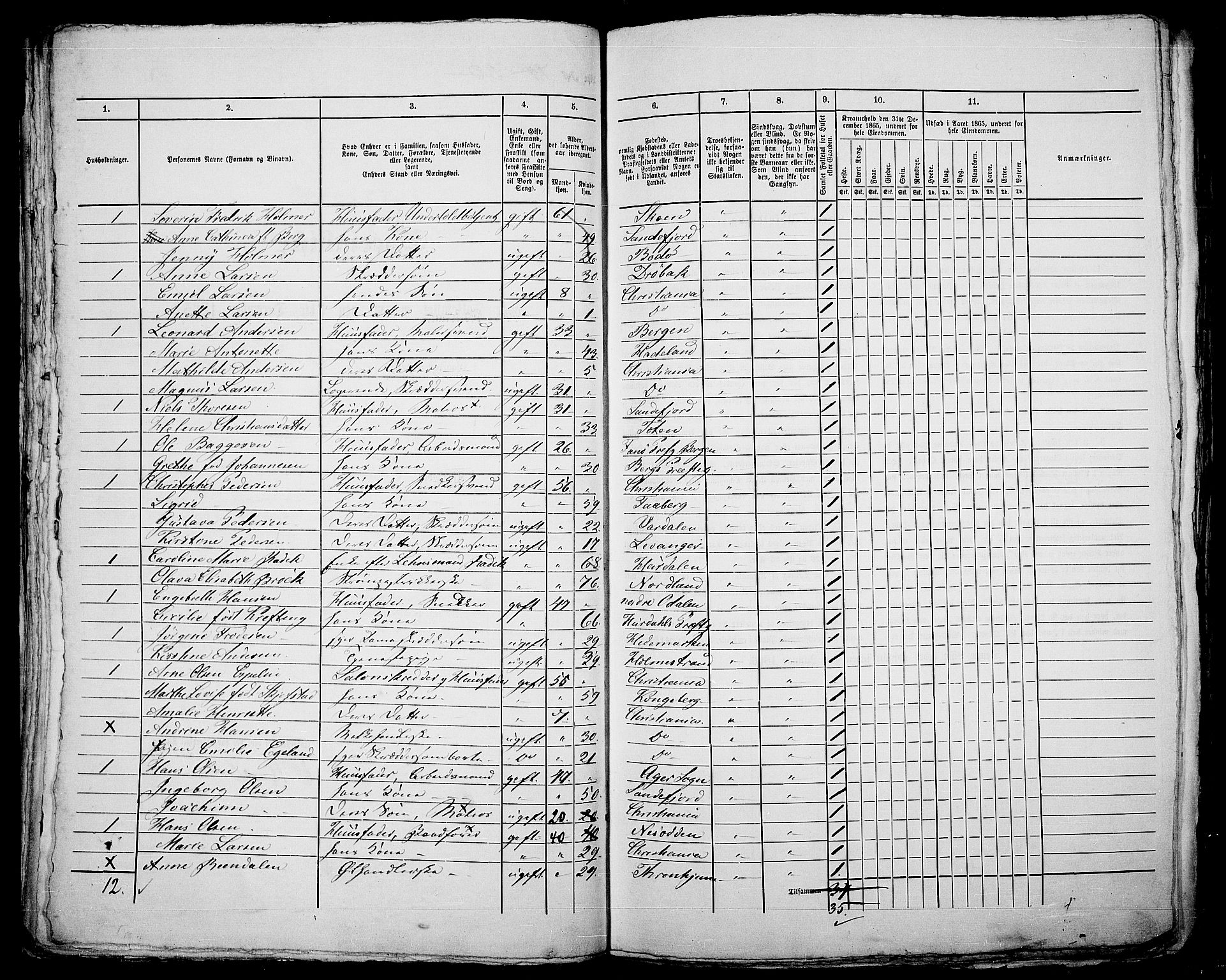 RA, 1865 census for Kristiania, 1865, p. 196