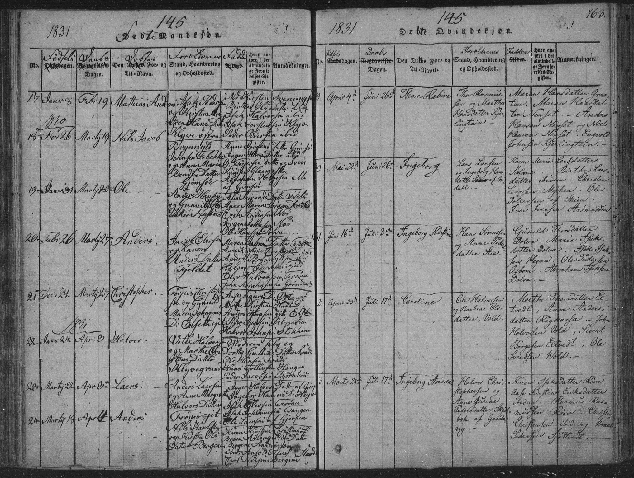 Solum kirkebøker, AV/SAKO-A-306/F/Fa/L0004: Parish register (official) no. I 4, 1814-1833, p. 163