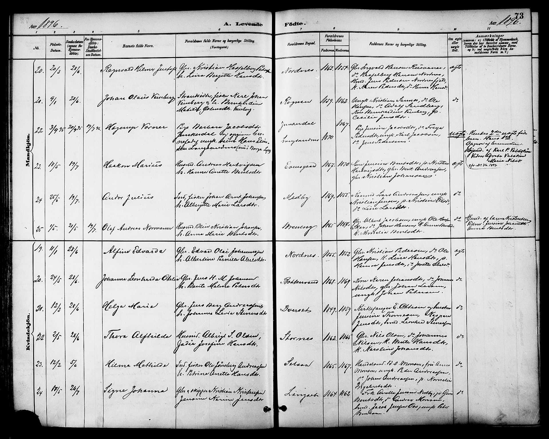 Ministerialprotokoller, klokkerbøker og fødselsregistre - Nordland, AV/SAT-A-1459/847/L0669: Parish register (official) no. 847A09, 1887-1901, p. 73