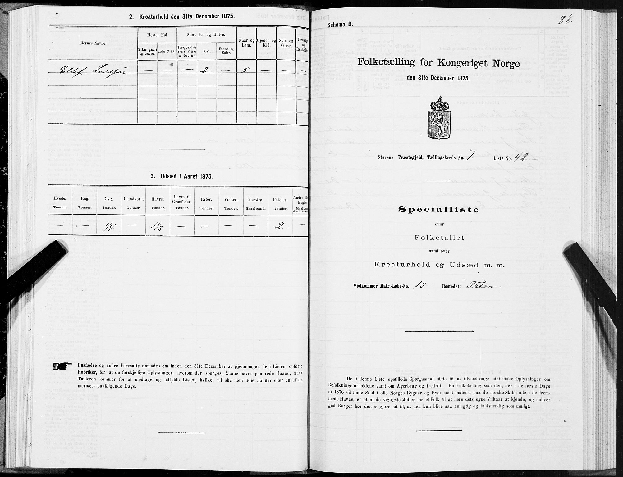 SAT, 1875 census for 1648P Støren, 1875, p. 4083