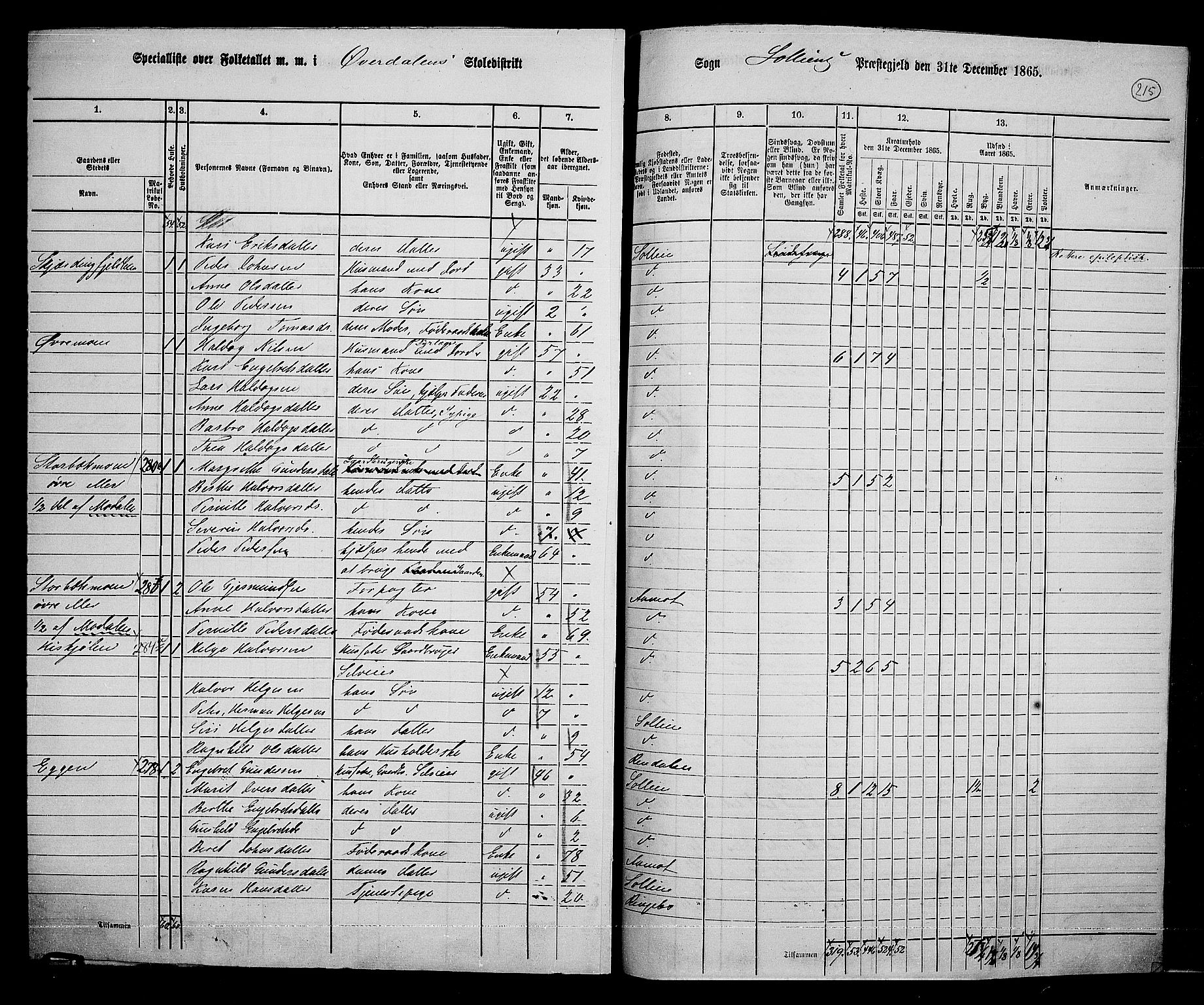 RA, 1865 census for Sollia, 1865, p. 20