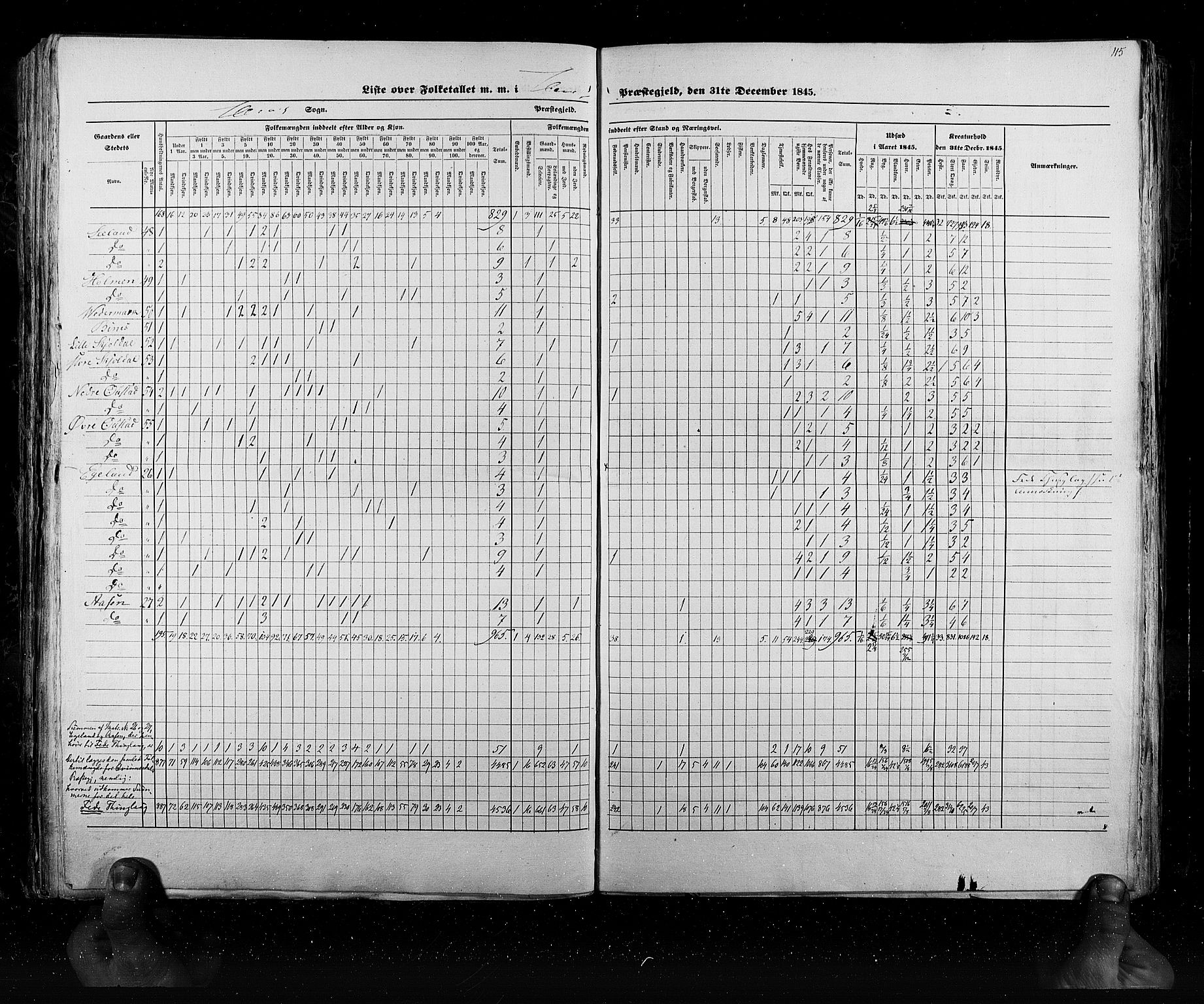 RA, Census 1845, vol. 6: Lister og Mandal amt og Stavanger amt, 1845, p. 115