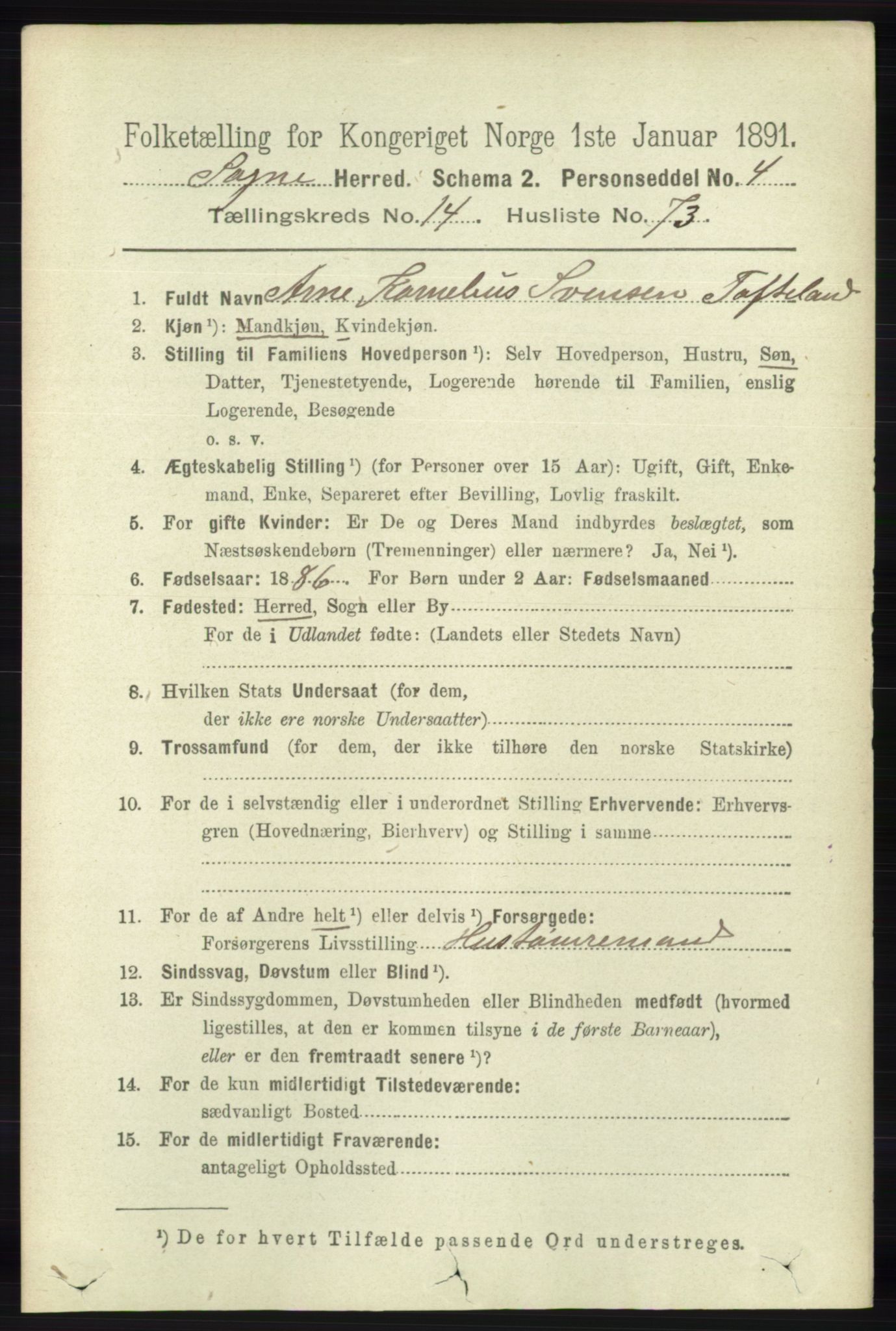 RA, 1891 census for 1018 Søgne, 1891, p. 3785