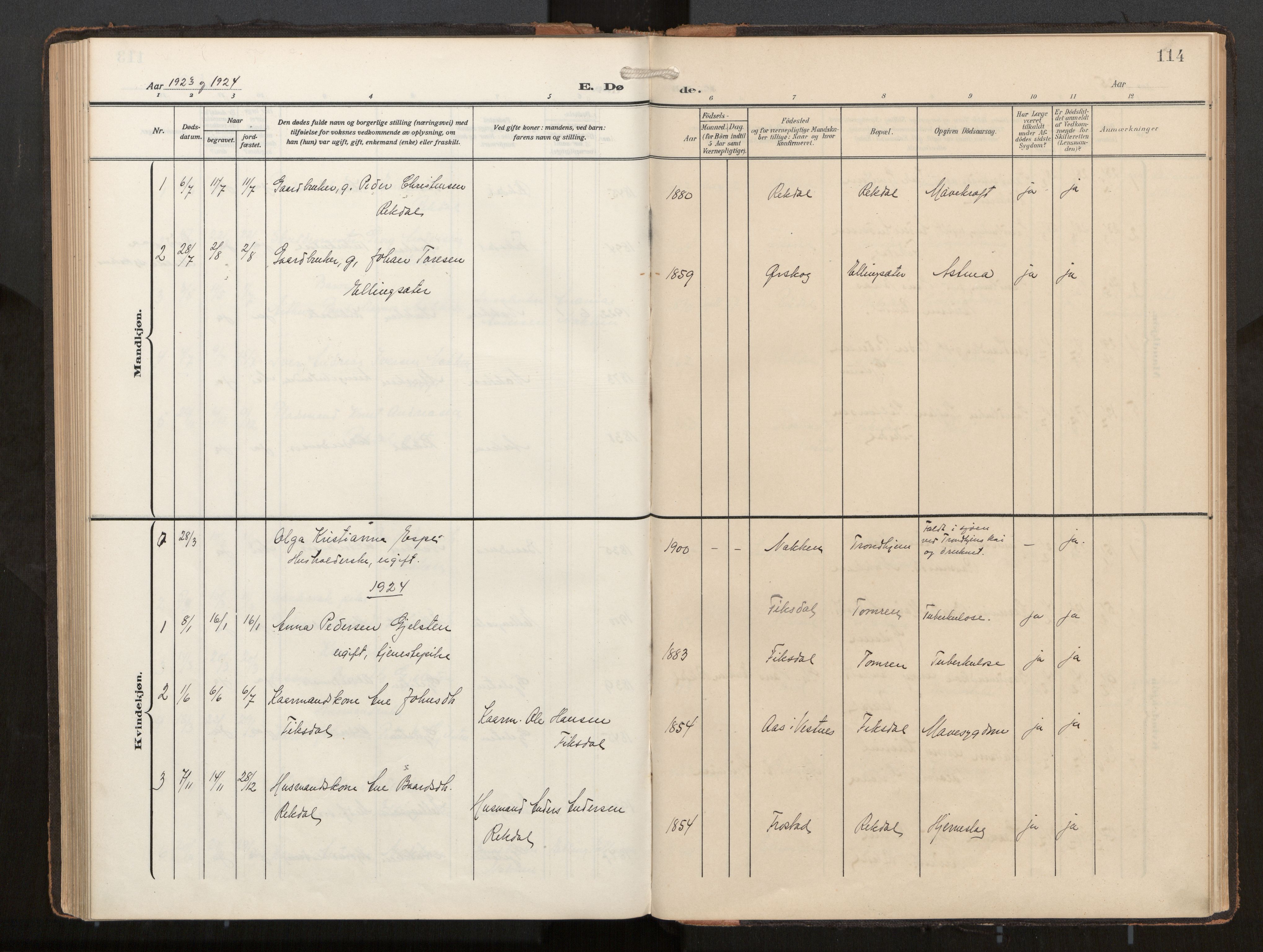 Ministerialprotokoller, klokkerbøker og fødselsregistre - Møre og Romsdal, AV/SAT-A-1454/540/L0540b: Parish register (official) no. 540A03, 1909-1932, p. 114