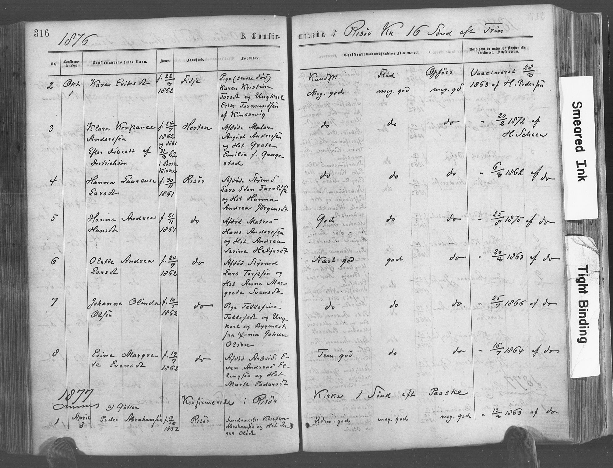 Risør sokneprestkontor, SAK/1111-0035/F/Fa/L0004: Parish register (official) no. A 4, 1865-1882, p. 316