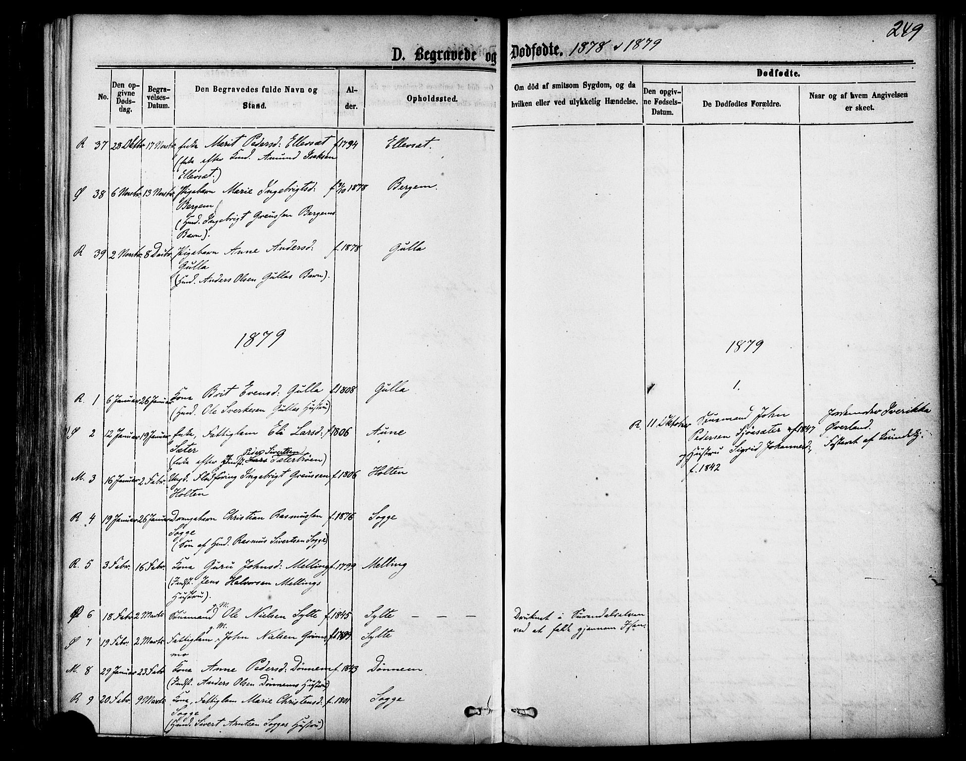 Ministerialprotokoller, klokkerbøker og fødselsregistre - Møre og Romsdal, AV/SAT-A-1454/595/L1046: Parish register (official) no. 595A08, 1874-1884, p. 249