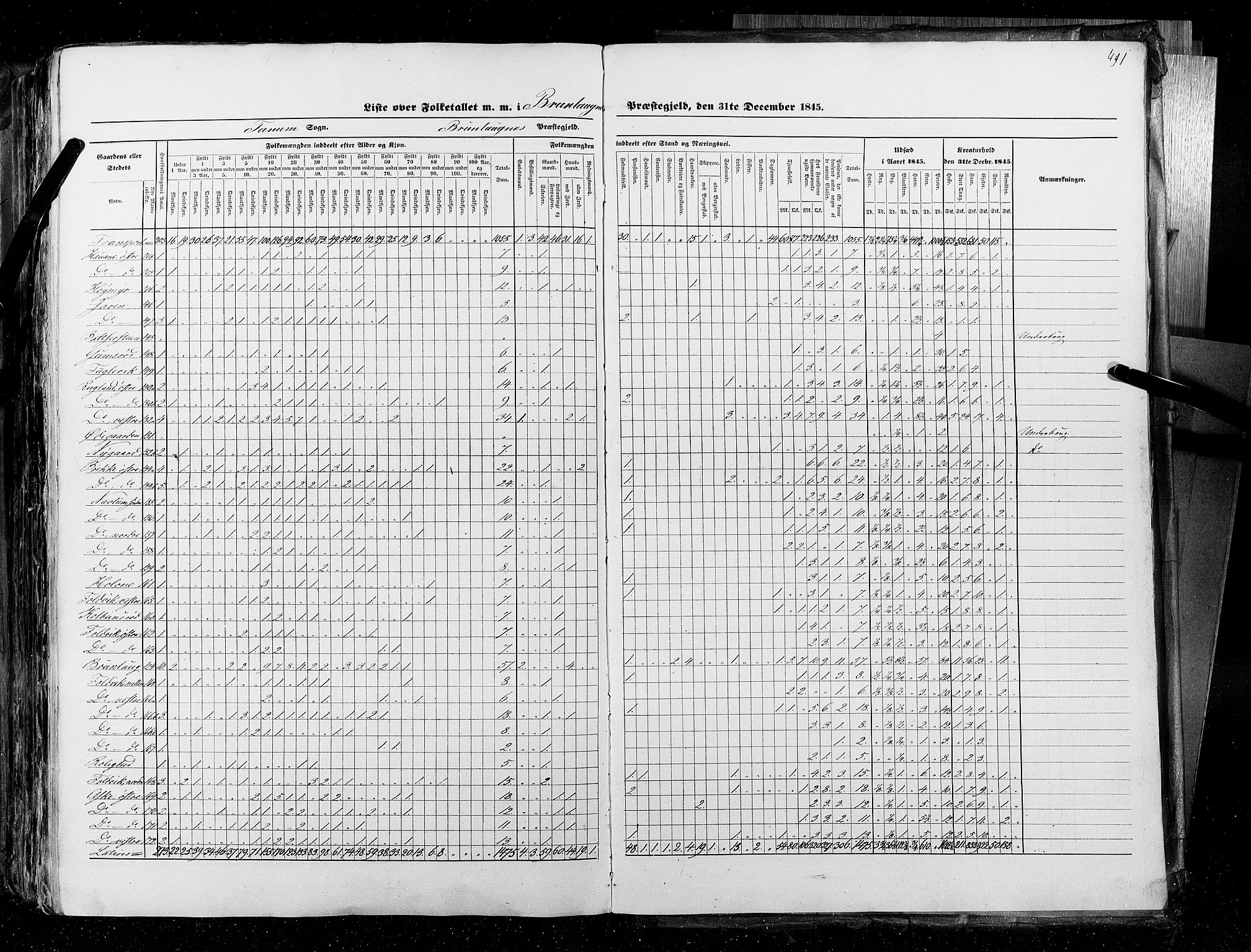 RA, Census 1845, vol. 4: Buskerud amt og Jarlsberg og Larvik amt, 1845, p. 491