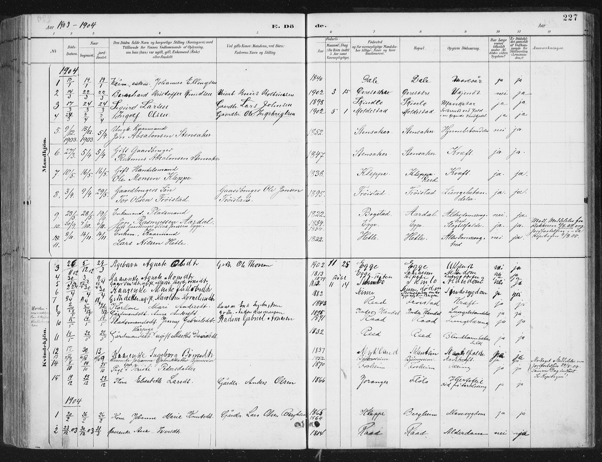 Gloppen sokneprestembete, SAB/A-80101/H/Haa/Haac/L0002: Parish register (official) no. C  2, 1887-1904, p. 227