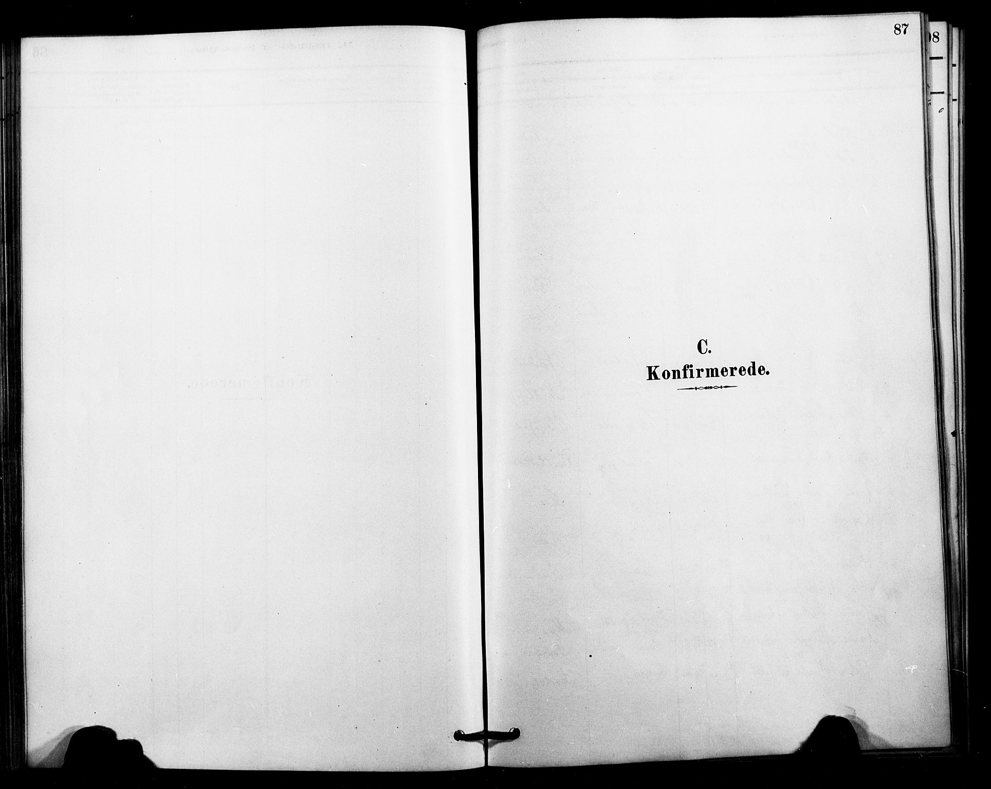 Ministerialprotokoller, klokkerbøker og fødselsregistre - Nordland, AV/SAT-A-1459/897/L1399: Parish register (official) no. 897C06, 1881-1896, p. 87