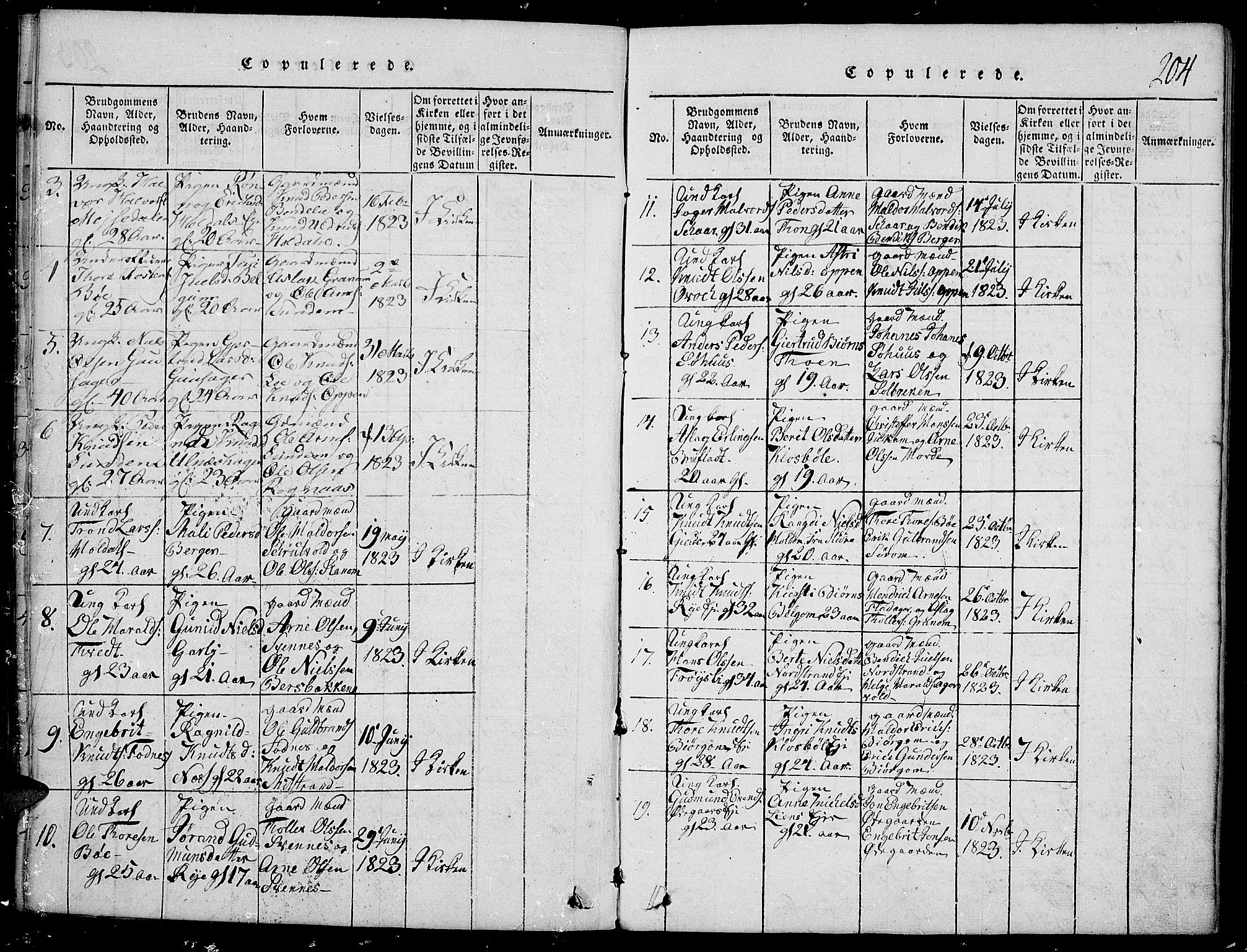 Nord-Aurdal prestekontor, SAH/PREST-132/H/Ha/Haa/L0002: Parish register (official) no. 2, 1816-1828, p. 204