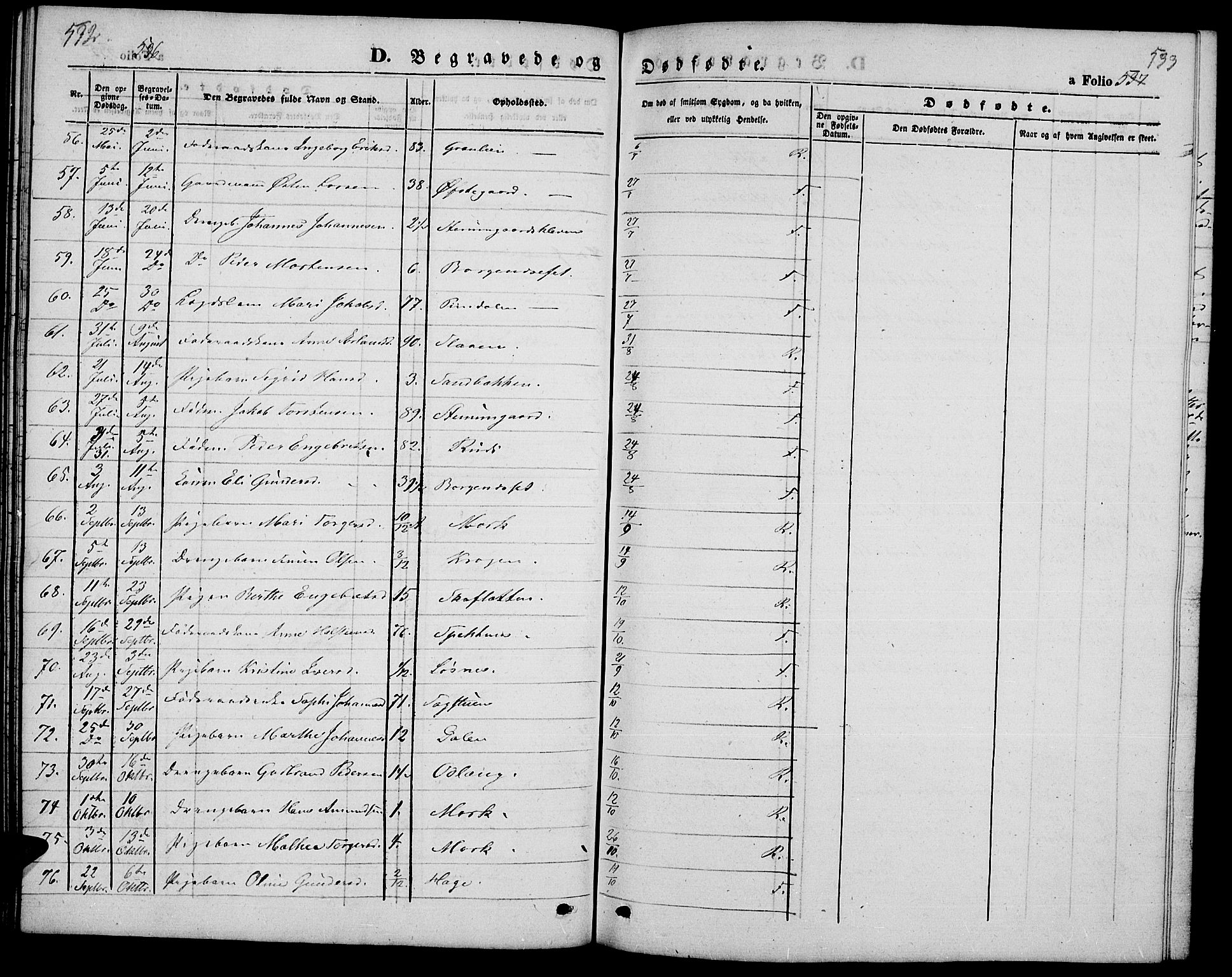 Ringebu prestekontor, SAH/PREST-082/H/Ha/Hab/L0003: Parish register (copy) no. 3, 1854-1866, p. 532-533