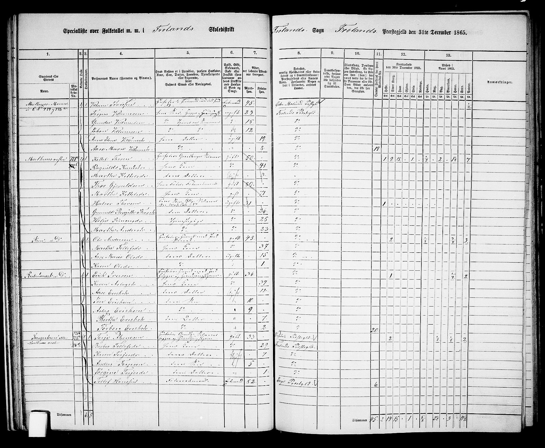 RA, 1865 census for Froland, 1865, p. 35