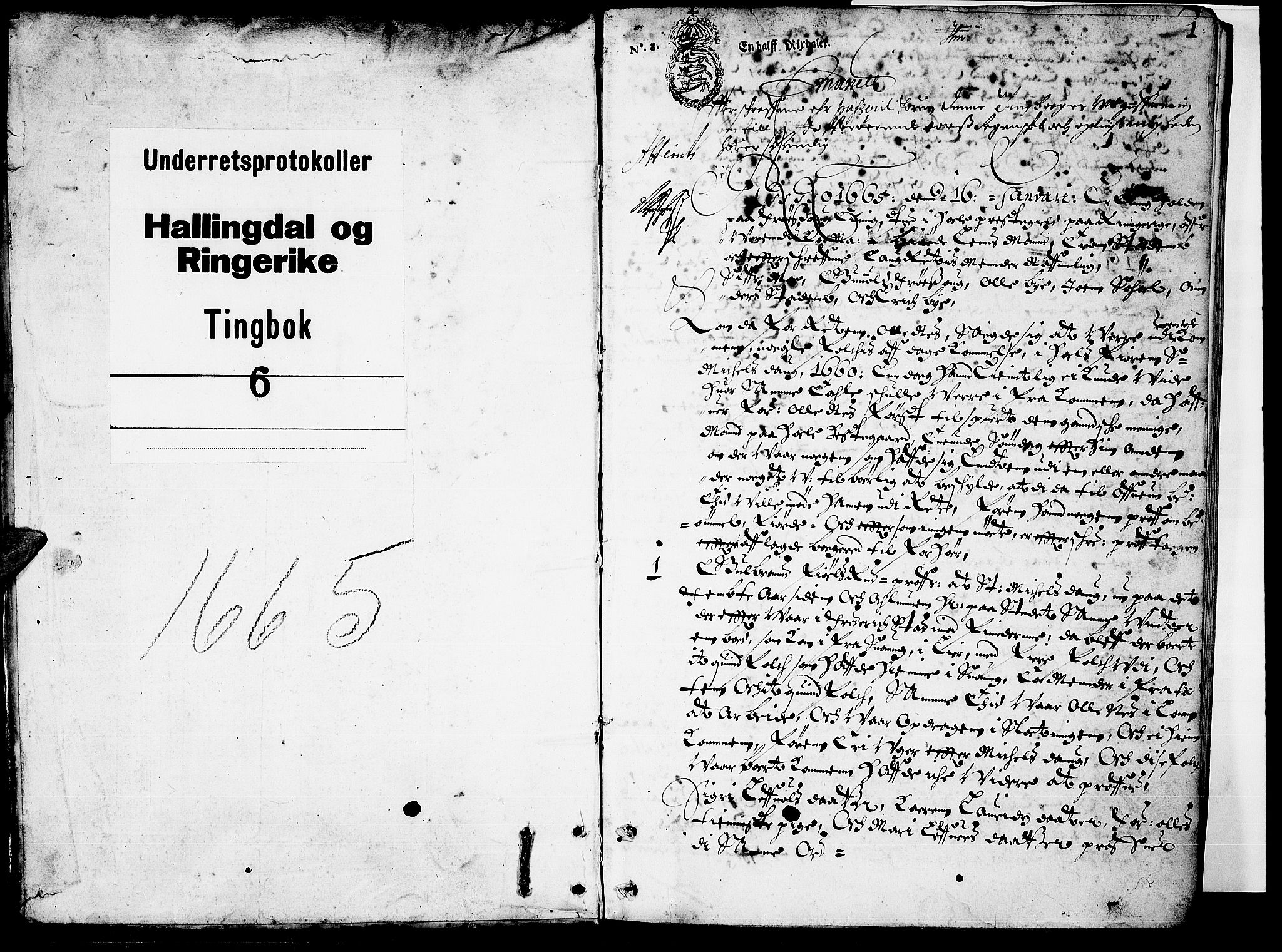 Ringerike og Hallingdal sorenskriveri, AV/SAKO-A-81/F/Fa/Faa/L0006: Tingbok, 1665, p. 0b-1a