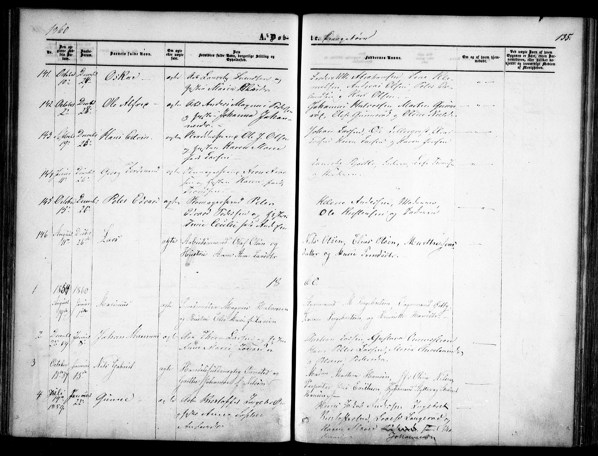 Halden prestekontor Kirkebøker, AV/SAO-A-10909/F/Fa/L0007: Parish register (official) no. I 7, 1857-1865, p. 135