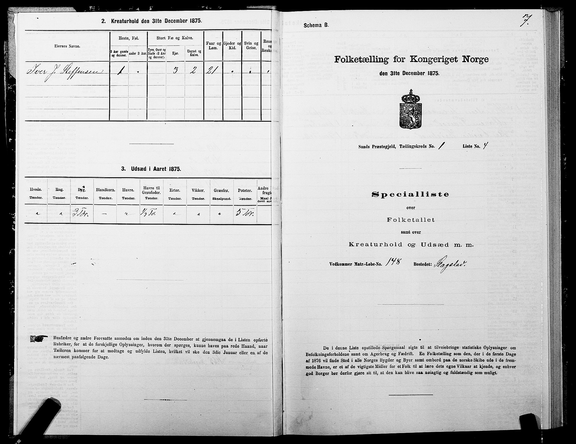 SATØ, 1875 census for 1915P Sand, 1875, p. 1007