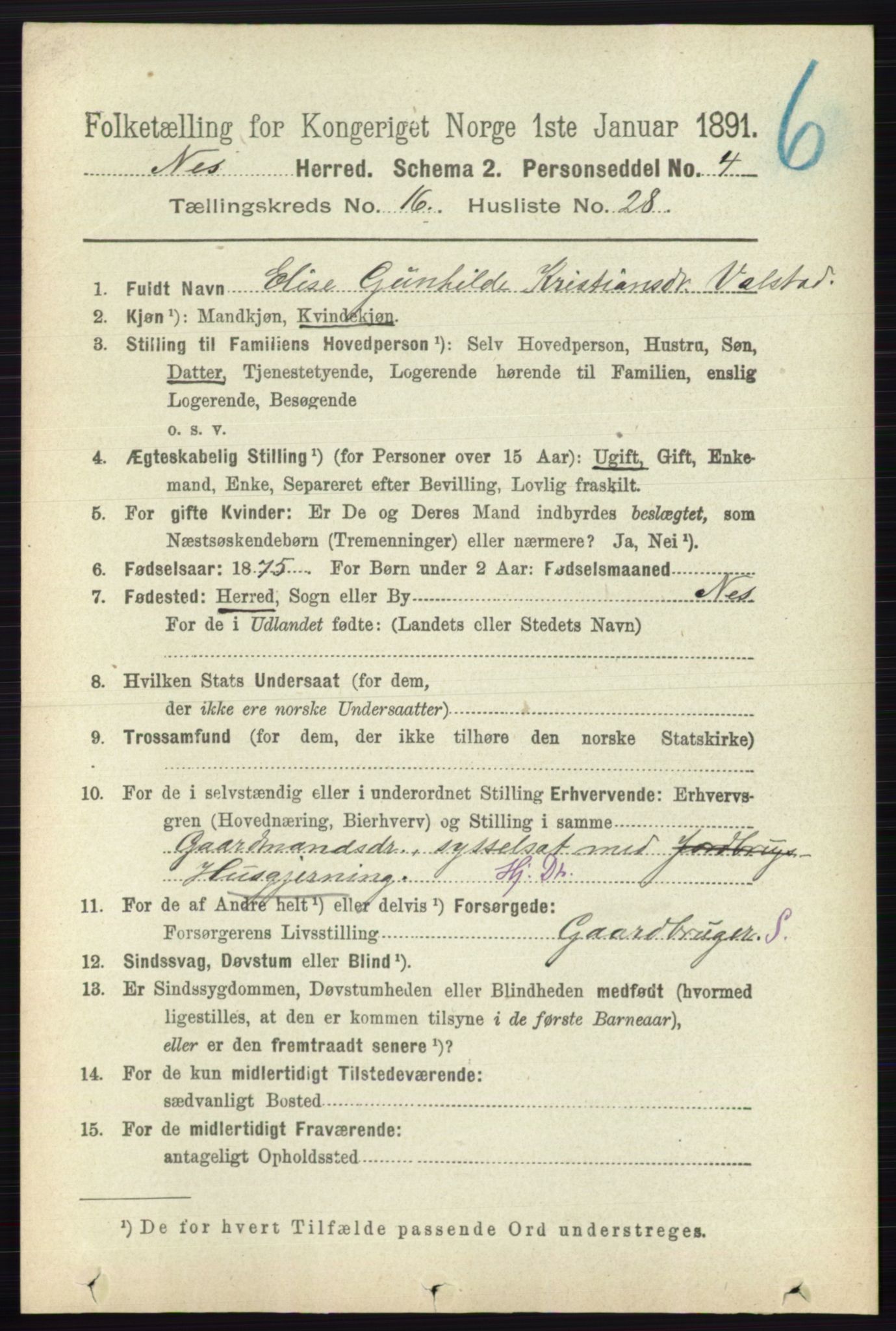 RA, 1891 census for 0236 Nes, 1891, p. 9724