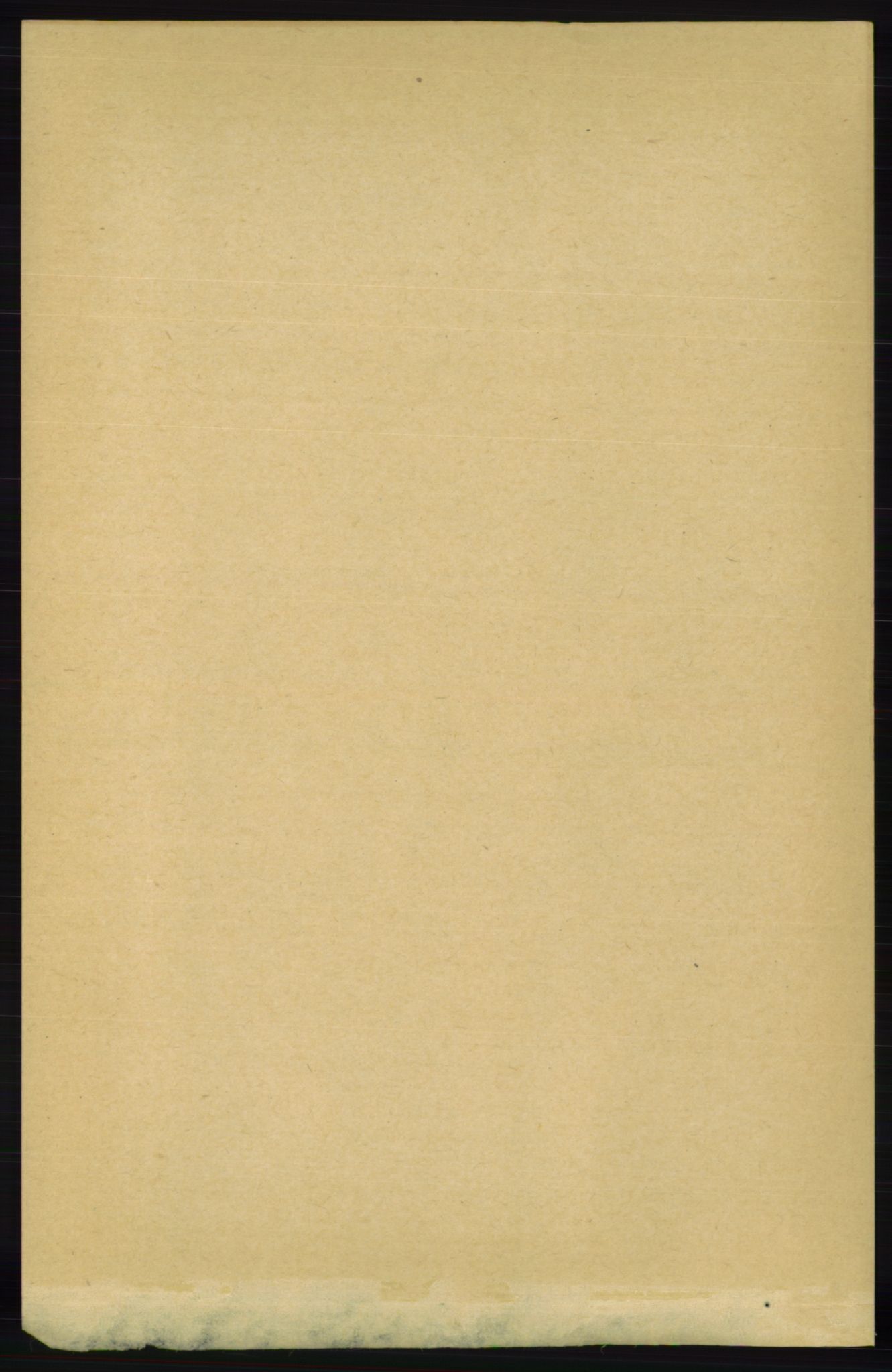 RA, 1891 census for 1012 Oddernes, 1891, p. 3843