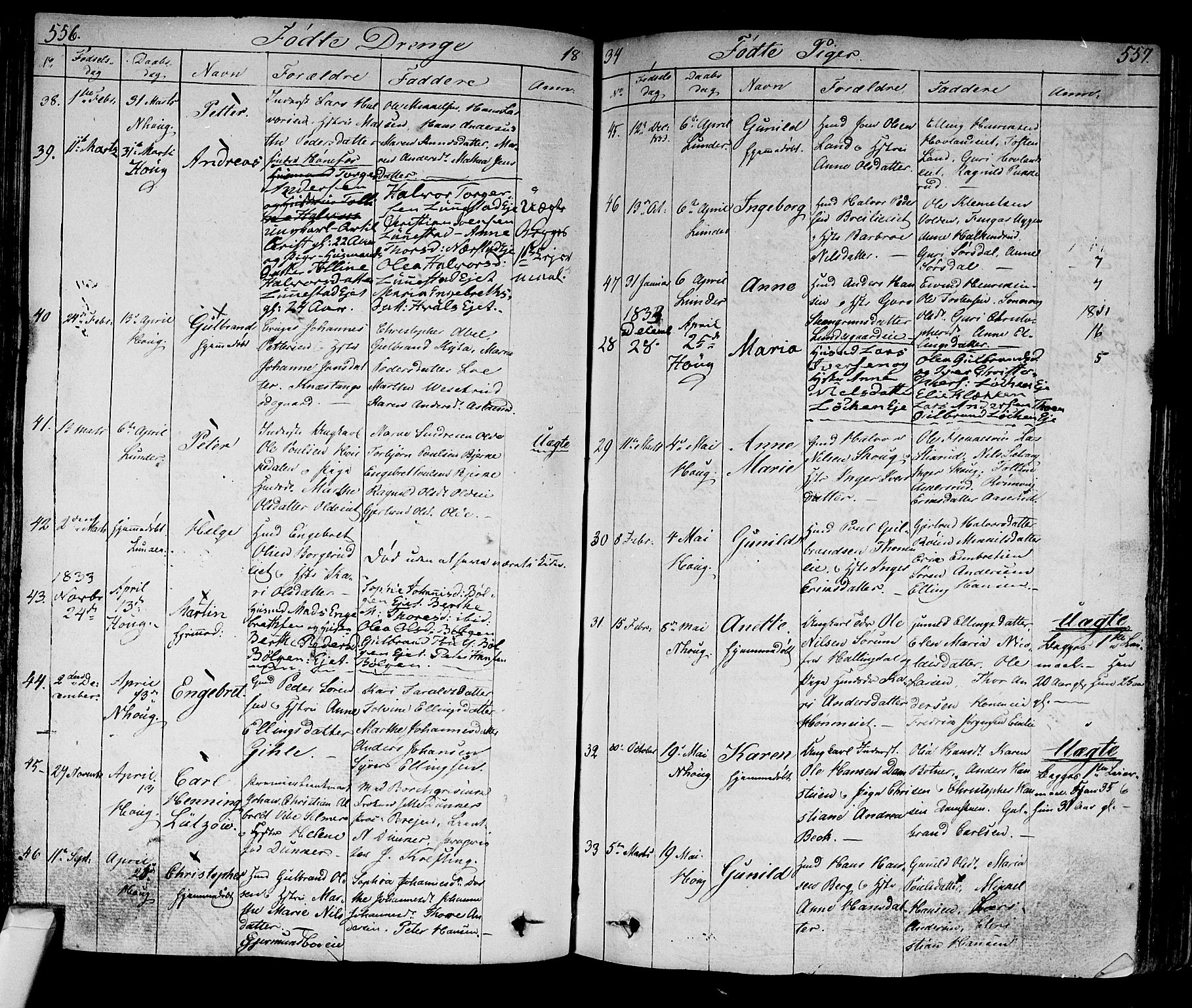 Norderhov kirkebøker, AV/SAKO-A-237/F/Fa/L0009: Parish register (official) no. 9, 1819-1837, p. 556-557