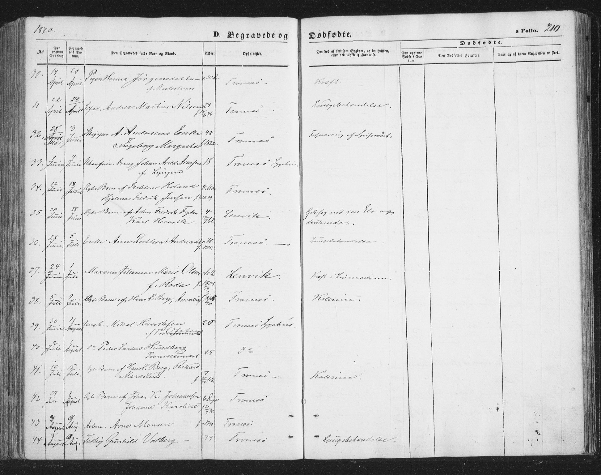 Tromsø sokneprestkontor/stiftsprosti/domprosti, SATØ/S-1343/G/Ga/L0012kirke: Parish register (official) no. 12, 1865-1871, p. 210