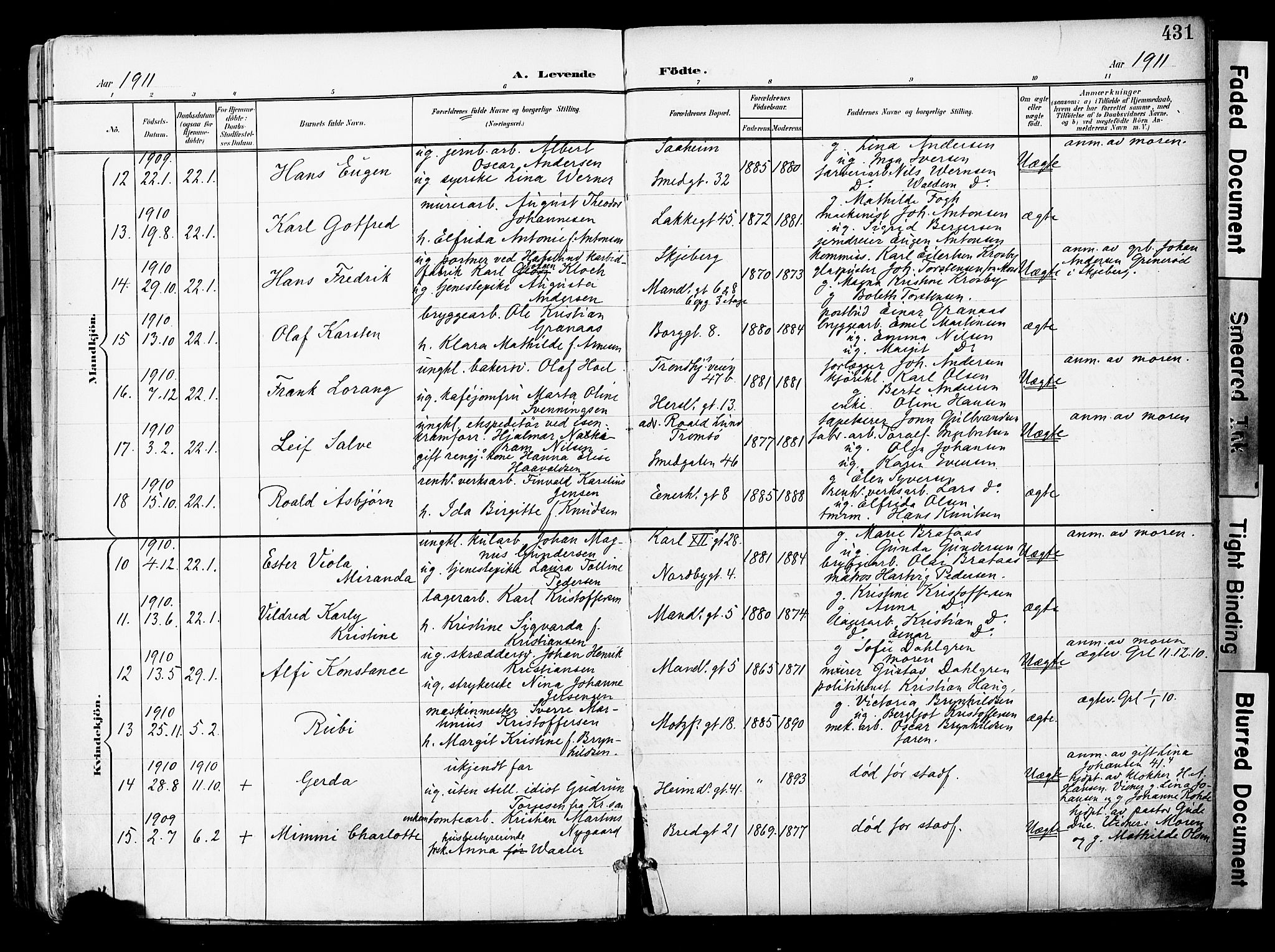 Grønland prestekontor Kirkebøker, SAO/A-10848/F/Fa/L0014: Parish register (official) no. 14, 1900-1911, p. 431