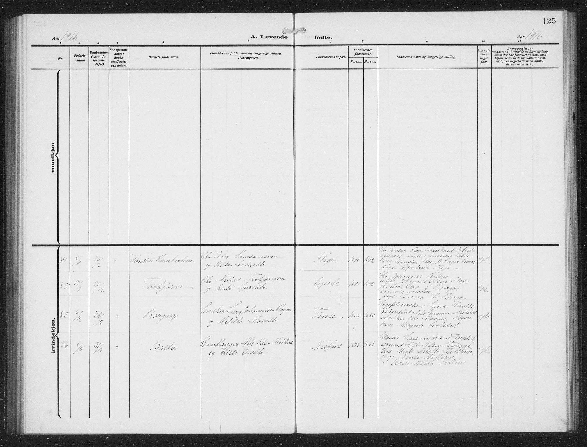 Voss sokneprestembete, SAB/A-79001/H/Hab: Parish register (copy) no. C 3, 1909-1920, p. 125
