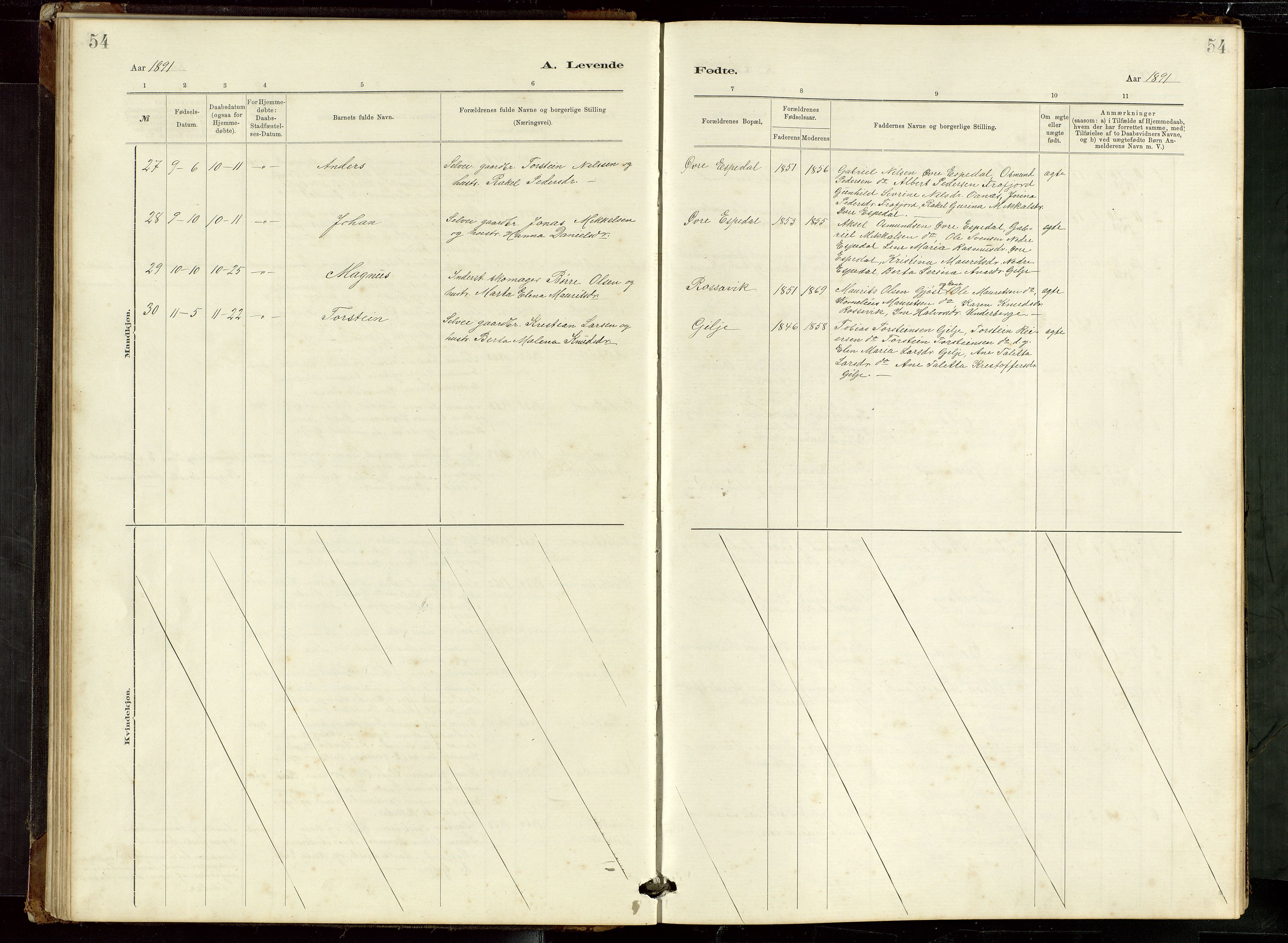 Høgsfjord sokneprestkontor, AV/SAST-A-101624/H/Ha/Hab/L0009: Parish register (copy) no. B 9, 1883-1920, p. 54