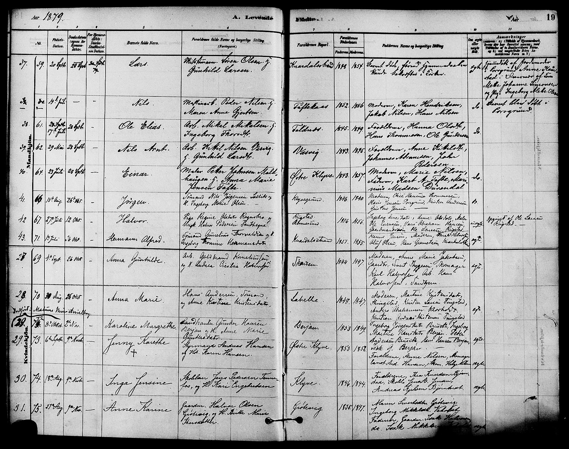 Solum kirkebøker, AV/SAKO-A-306/F/Fa/L0009: Parish register (official) no. I 9, 1877-1887, p. 19