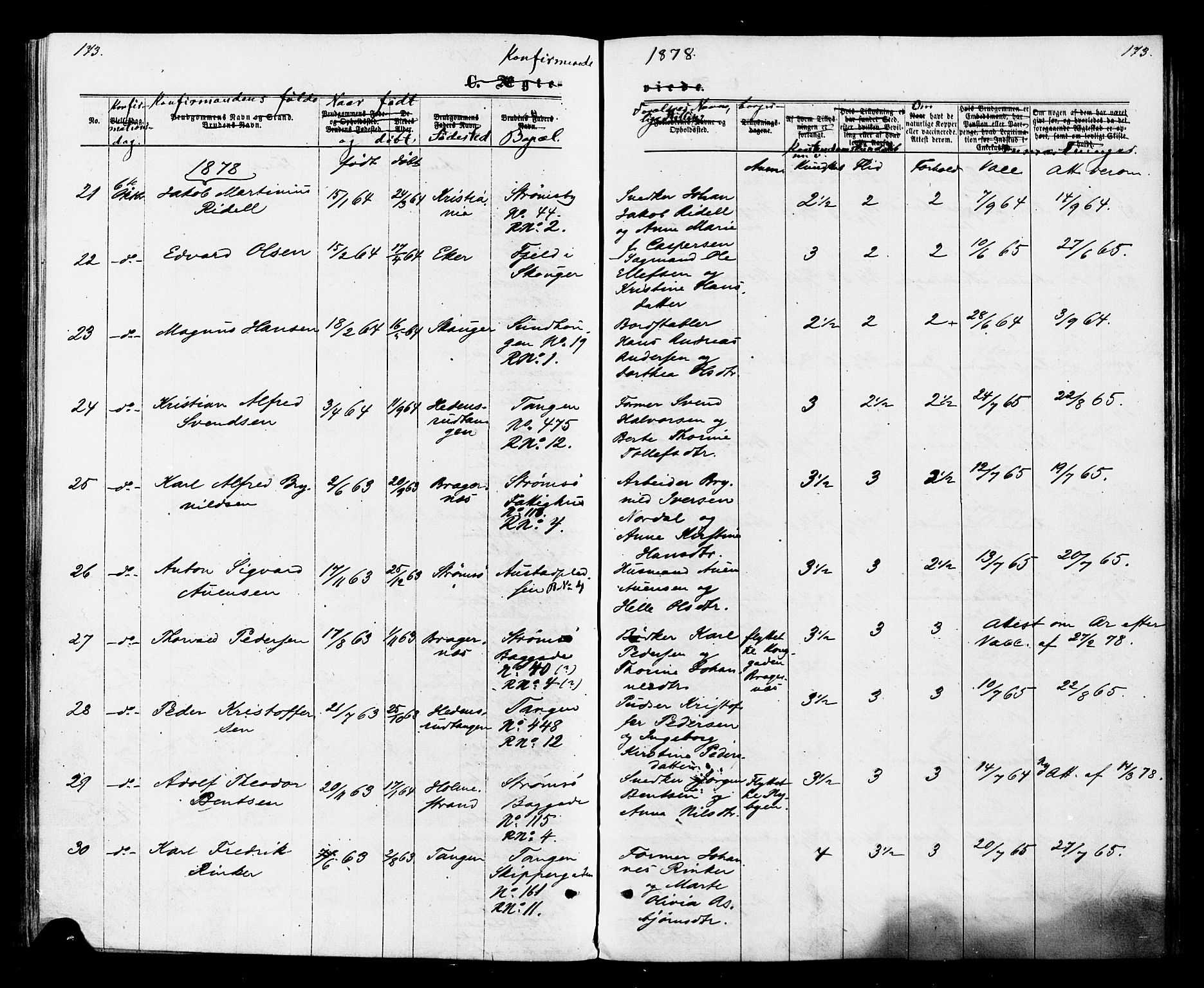 Strømsø kirkebøker, AV/SAKO-A-246/F/Fa/L0020: Parish register (official) no. I 20, 1870-1878, p. 173