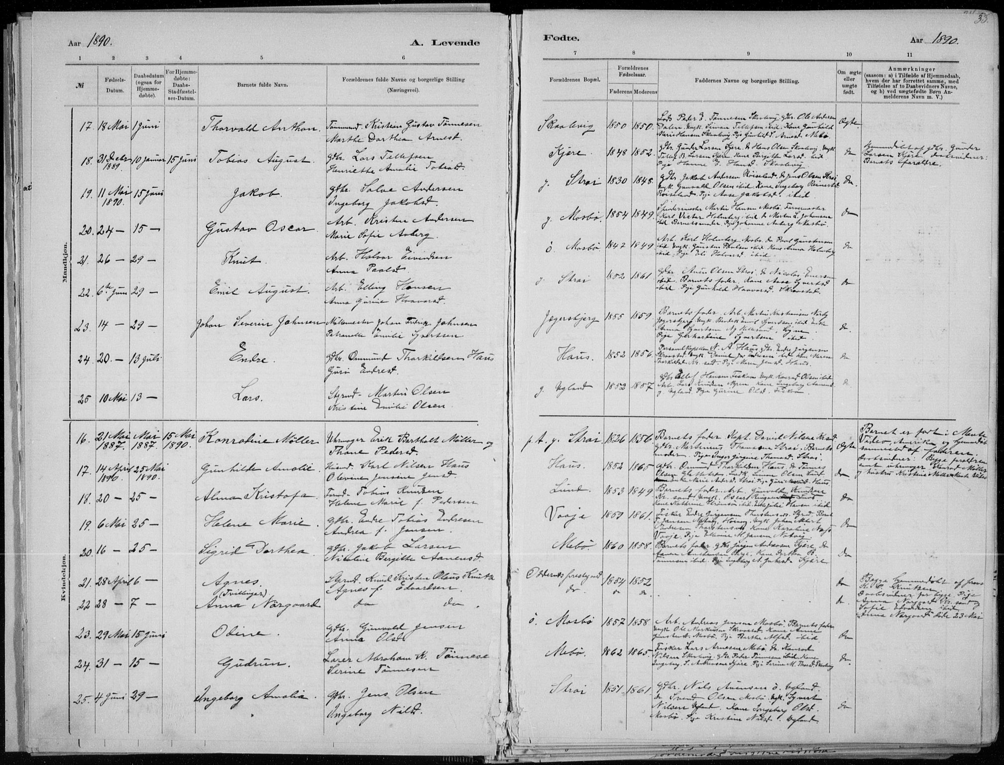 Oddernes sokneprestkontor, SAK/1111-0033/F/Fa/Faa/L0009: Parish register (official) no. A 9, 1884-1896, p. 34
