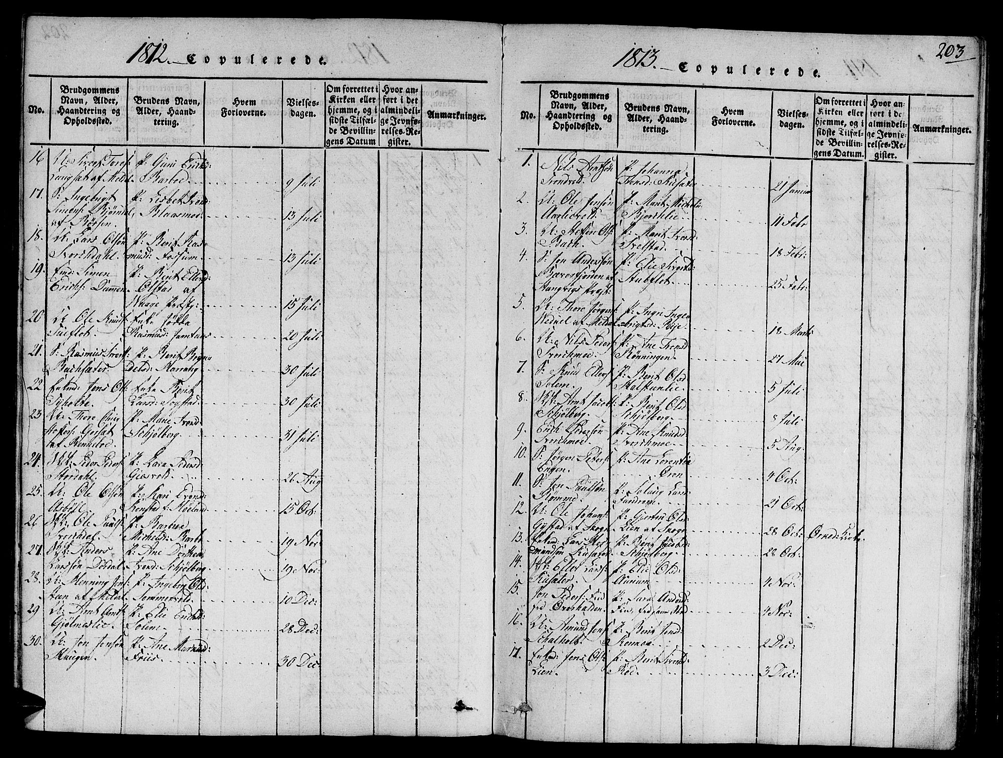 Ministerialprotokoller, klokkerbøker og fødselsregistre - Sør-Trøndelag, SAT/A-1456/668/L0803: Parish register (official) no. 668A03, 1800-1826, p. 203