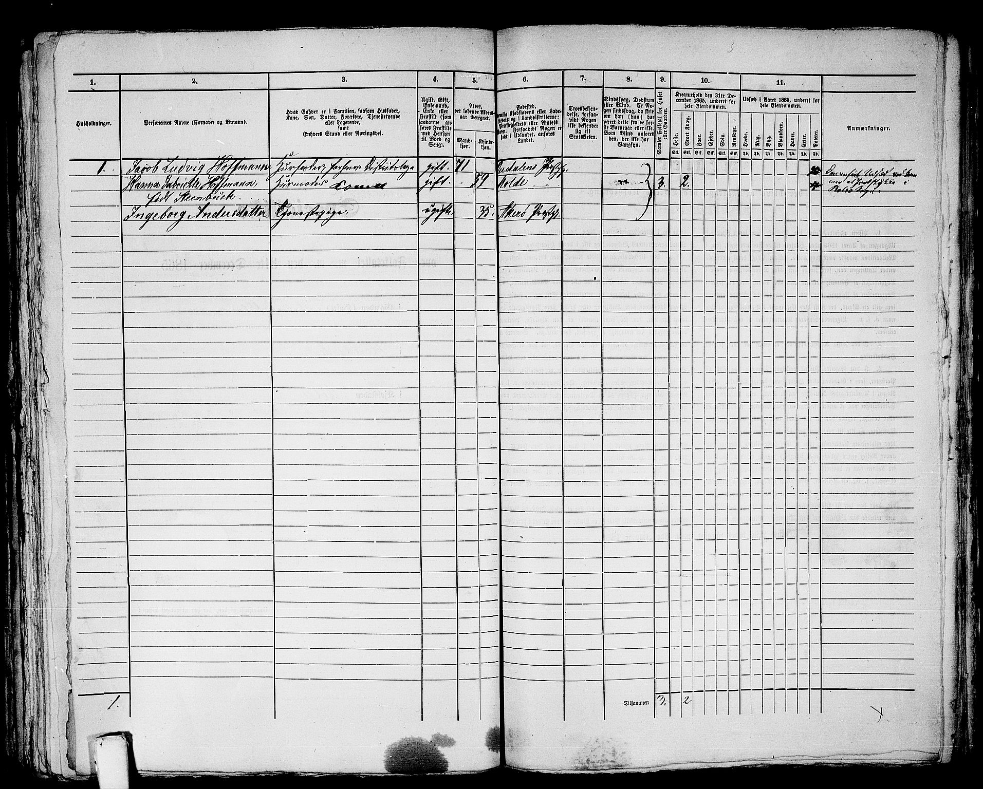 RA, 1865 census for Molde, 1865, p. 367