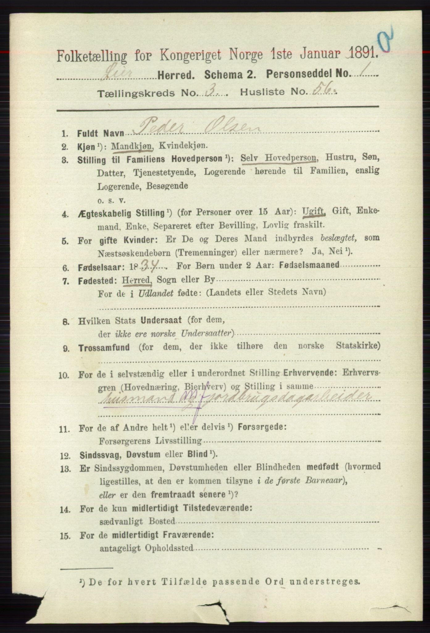 RA, 1891 census for 0626 Lier, 1891, p. 2801