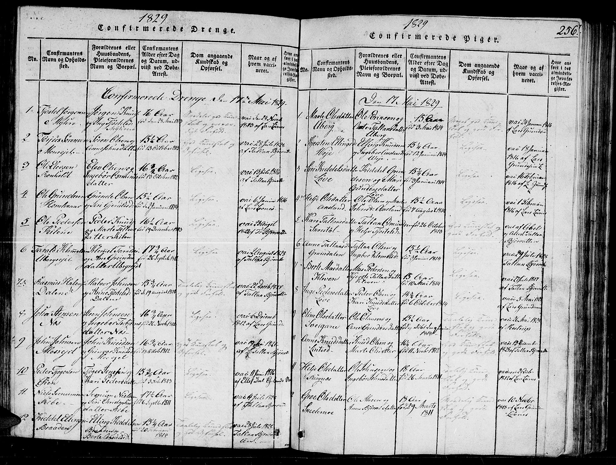 Gjerstad sokneprestkontor, AV/SAK-1111-0014/F/Fb/Fbb/L0001: Parish register (copy) no. B 1, 1813-1863, p. 256