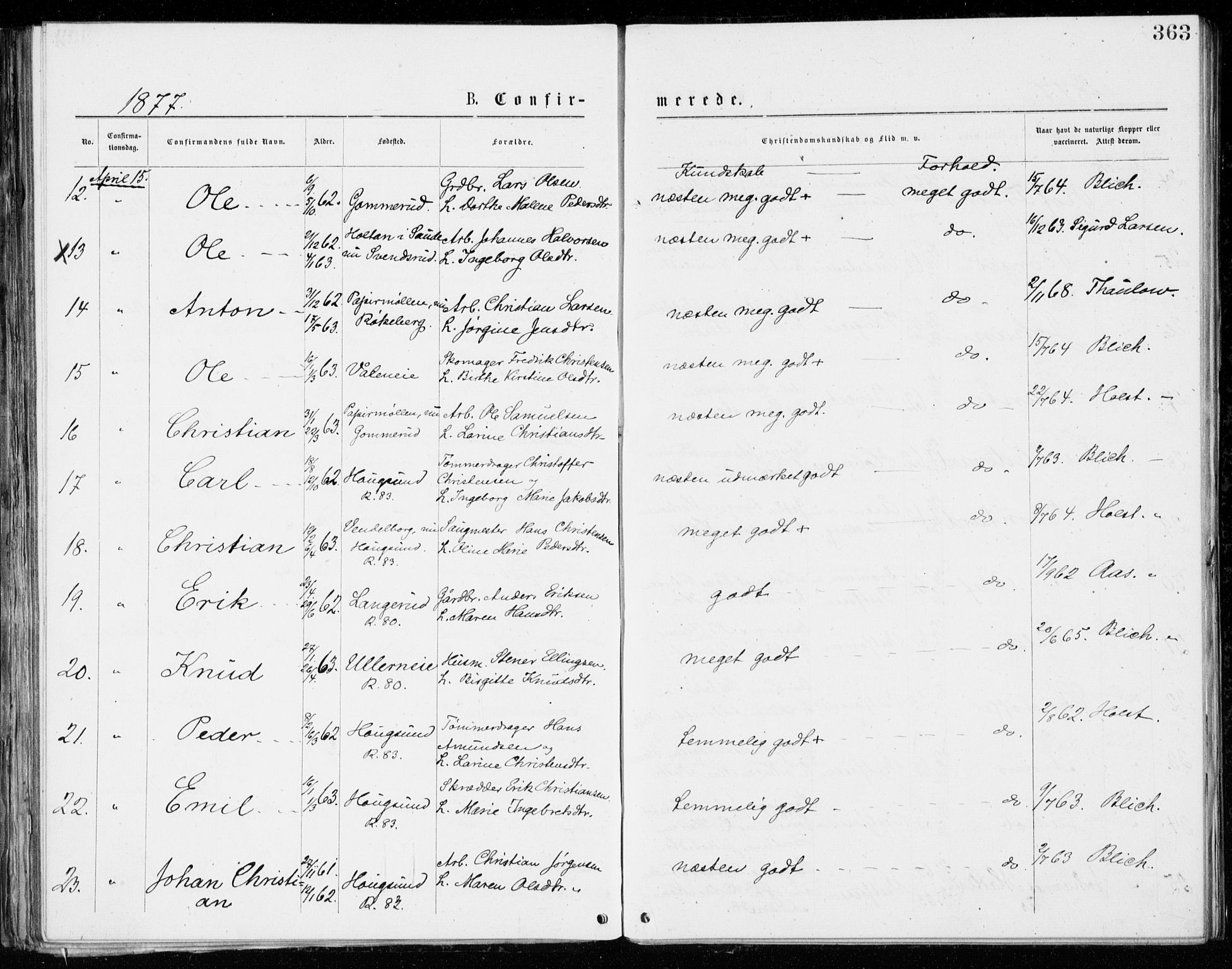 Eiker kirkebøker, SAKO/A-4/G/Ga/L0004: Parish register (copy) no. I 4, 1877-1877, p. 363