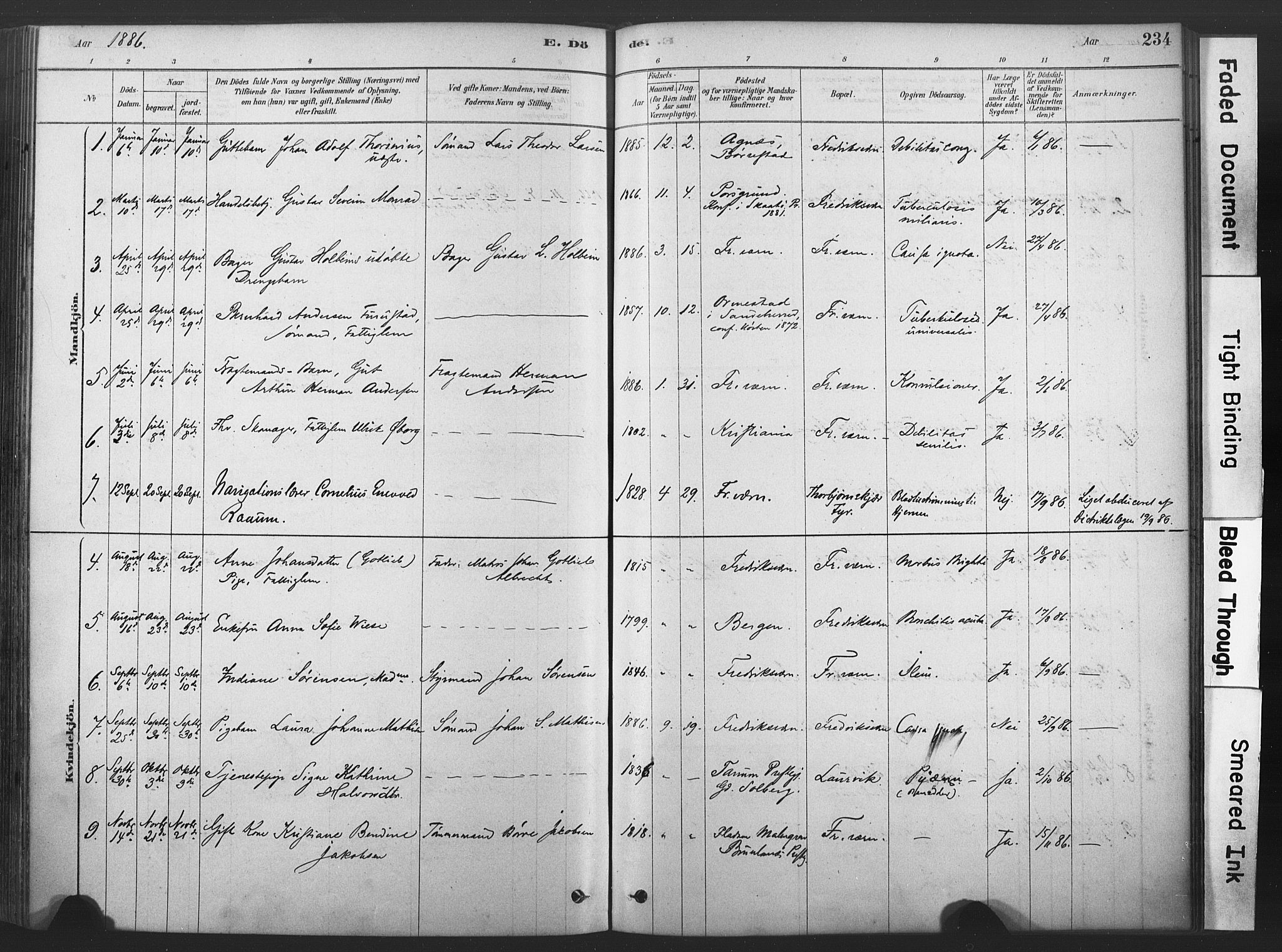 Stavern kirkebøker, SAKO/A-318/F/Fa/L0008: Parish register (official) no. 8, 1878-1905, p. 234